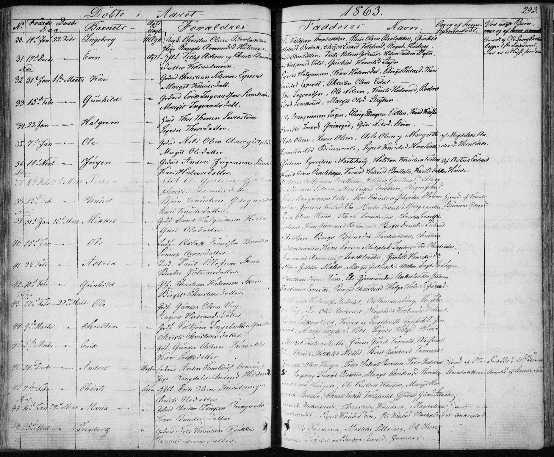 Nes kirkebøker, AV/SAKO-A-236/F/Fa/L0009: Parish register (official) no. 9, 1834-1863, p. 293