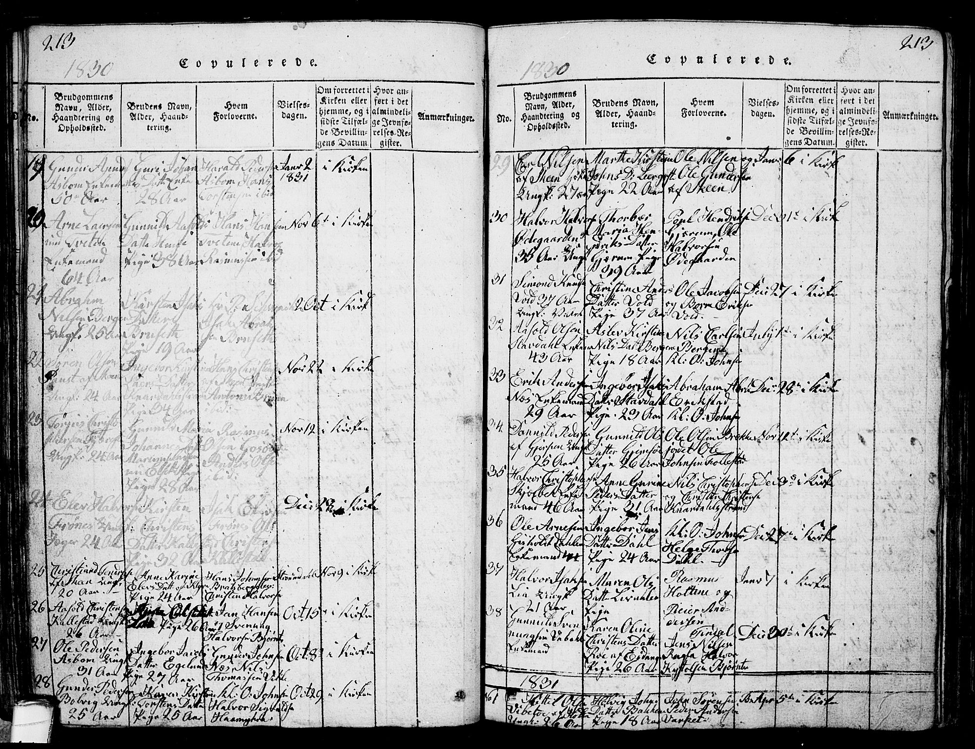 Solum kirkebøker, SAKO/A-306/G/Ga/L0001: Parish register (copy) no. I 1, 1814-1833, p. 213