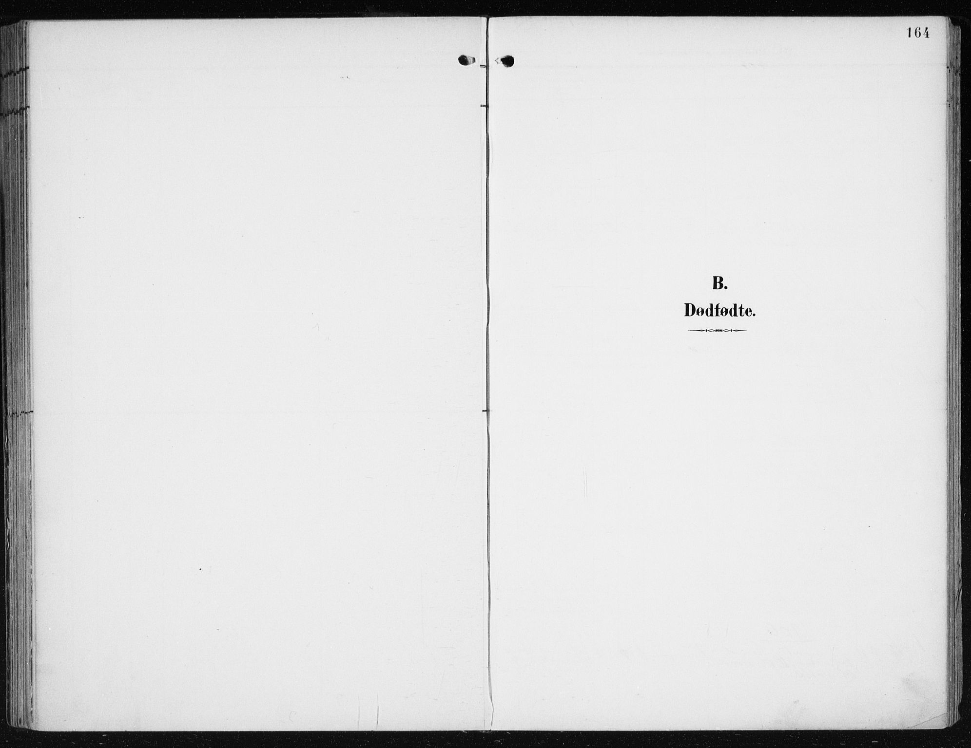 Evanger sokneprestembete, AV/SAB-A-99924: Parish register (official) no. A  3, 1900-1930, p. 164