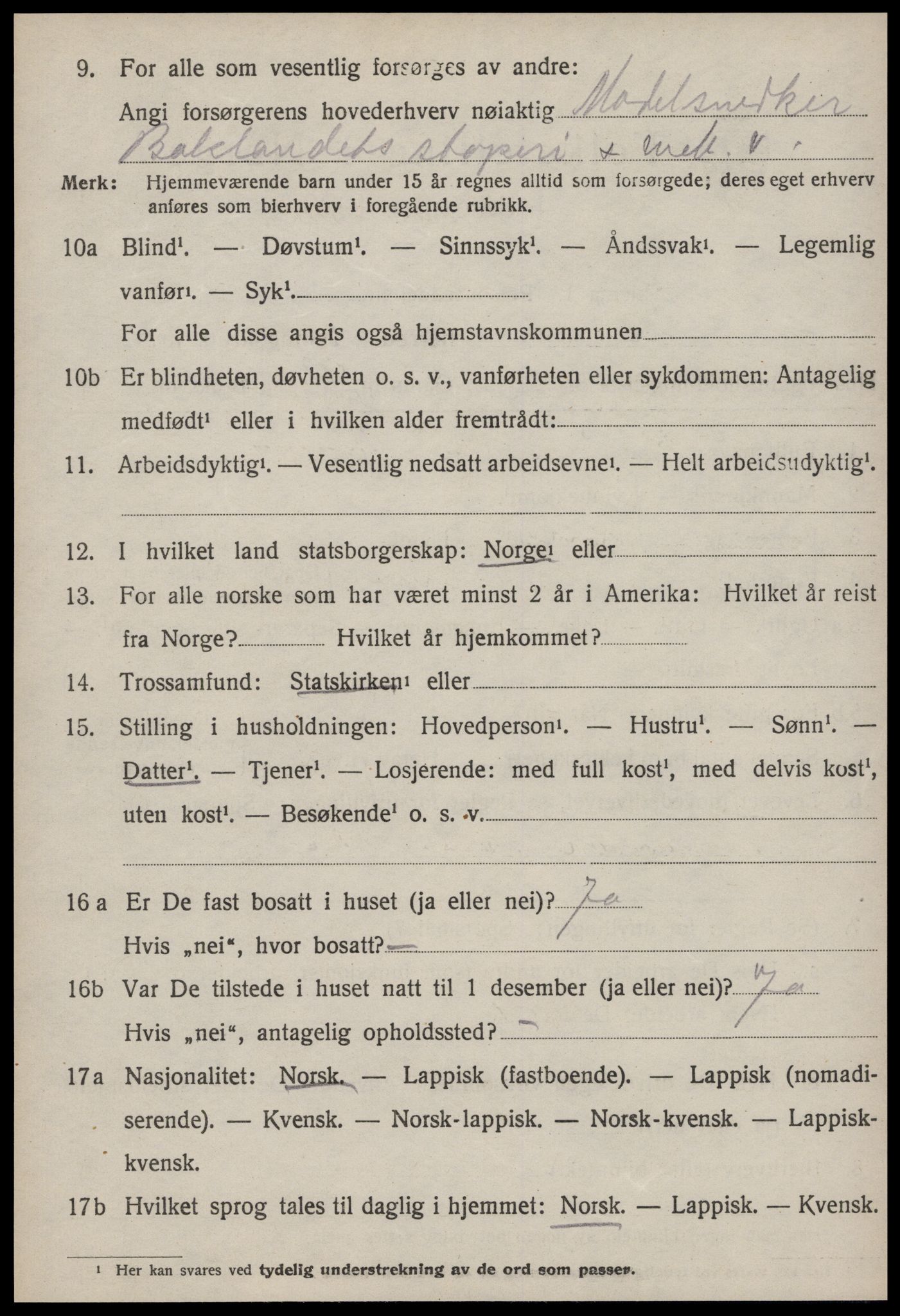 SAT, 1920 census for Strinda, 1920, p. 24351