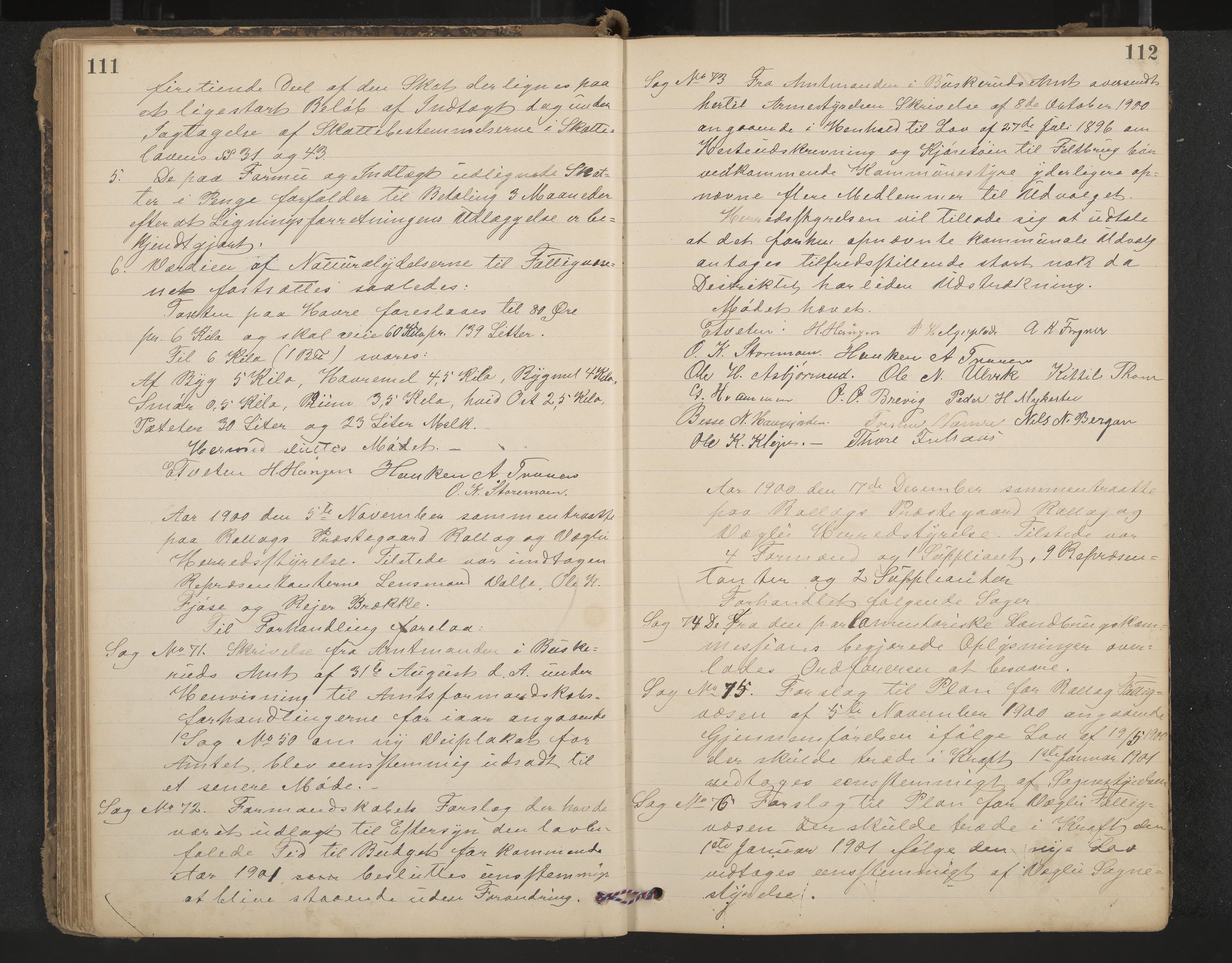 Rollag formannskap og sentraladministrasjon, IKAK/0632021-2/A/Aa/L0004: Møtebok, 1897-1909, p. 111-112