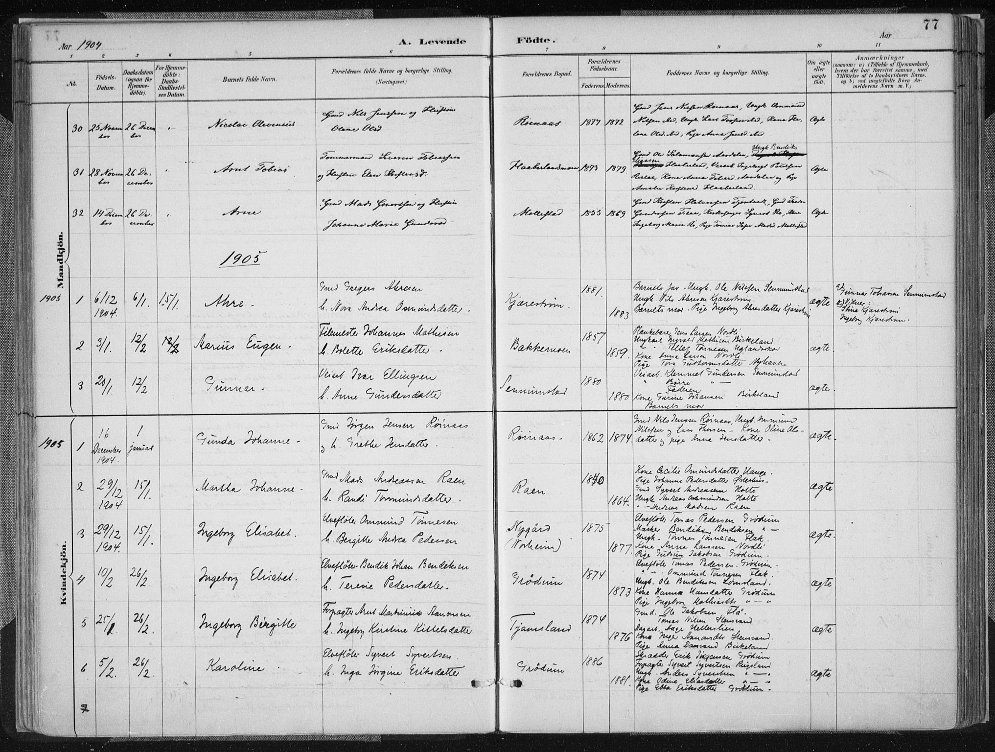 Birkenes sokneprestkontor, SAK/1111-0004/F/Fa/L0005: Parish register (official) no. A 5, 1887-1907, p. 77
