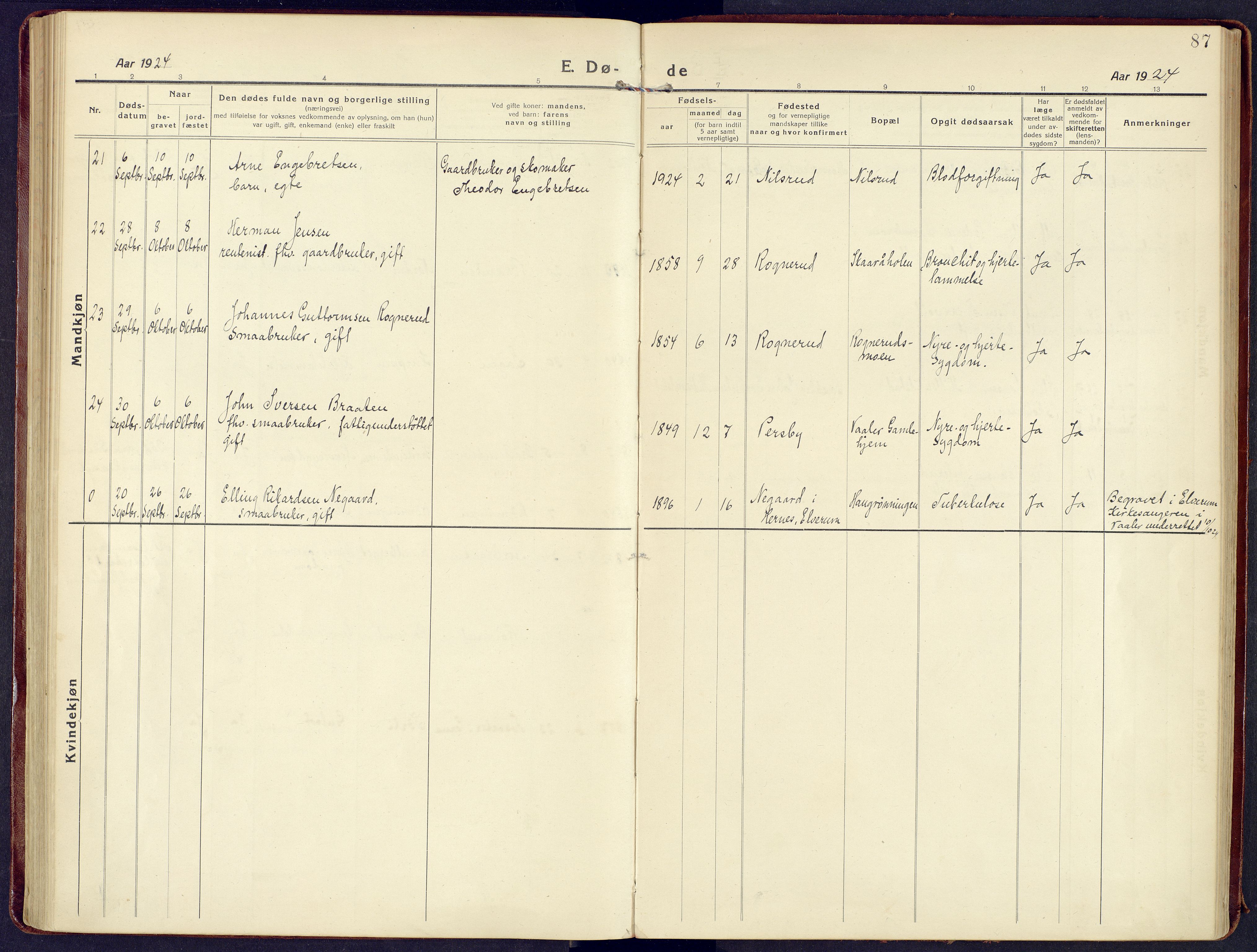 Våler prestekontor, Hedmark, AV/SAH-PREST-040/H/Ha/Haa/L0011: Parish register (official) no. 11, 1919-1933, p. 87