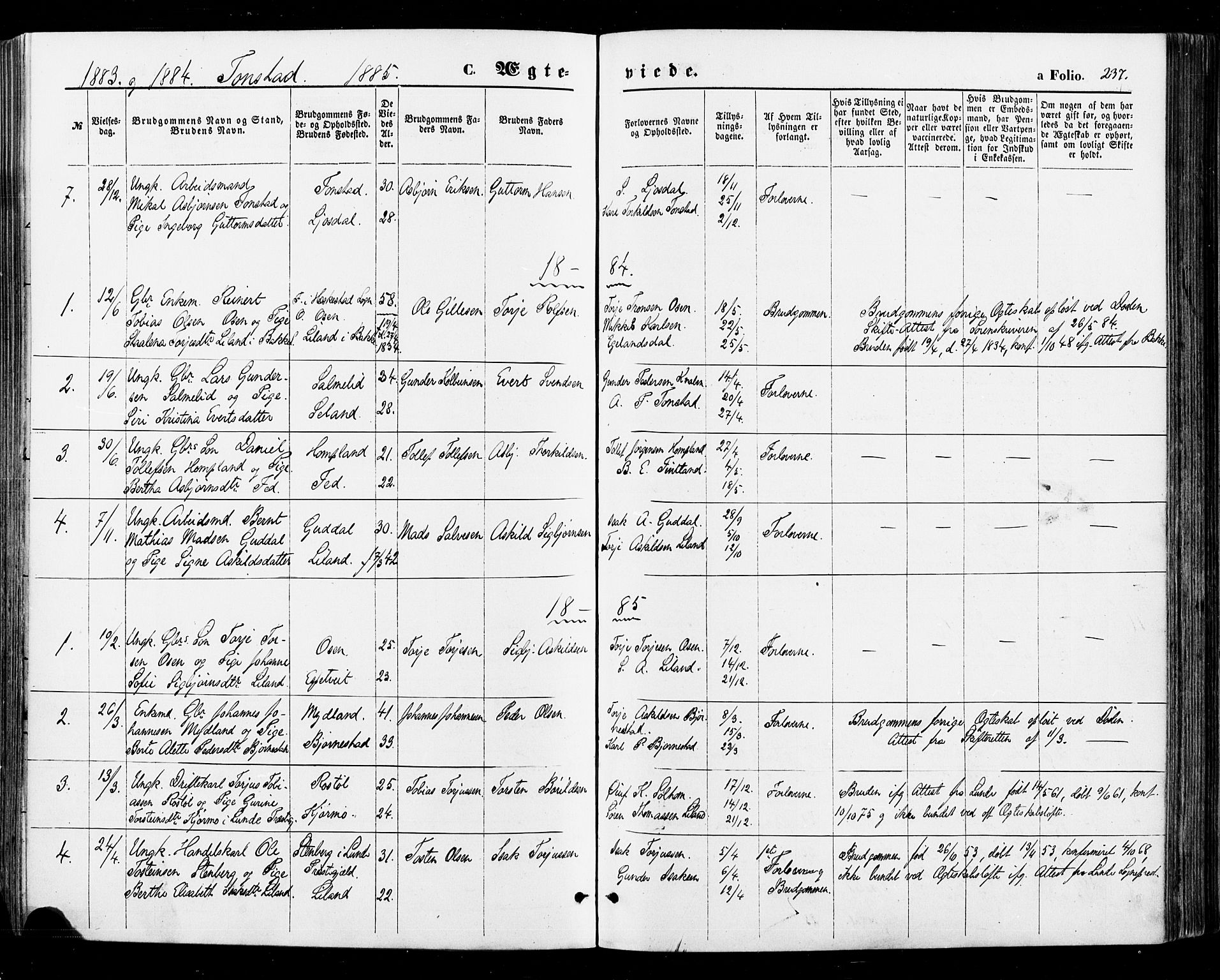 Sirdal sokneprestkontor, SAK/1111-0036/F/Fa/Fab/L0003: Parish register (official) no. A 3, 1874-1886, p. 237