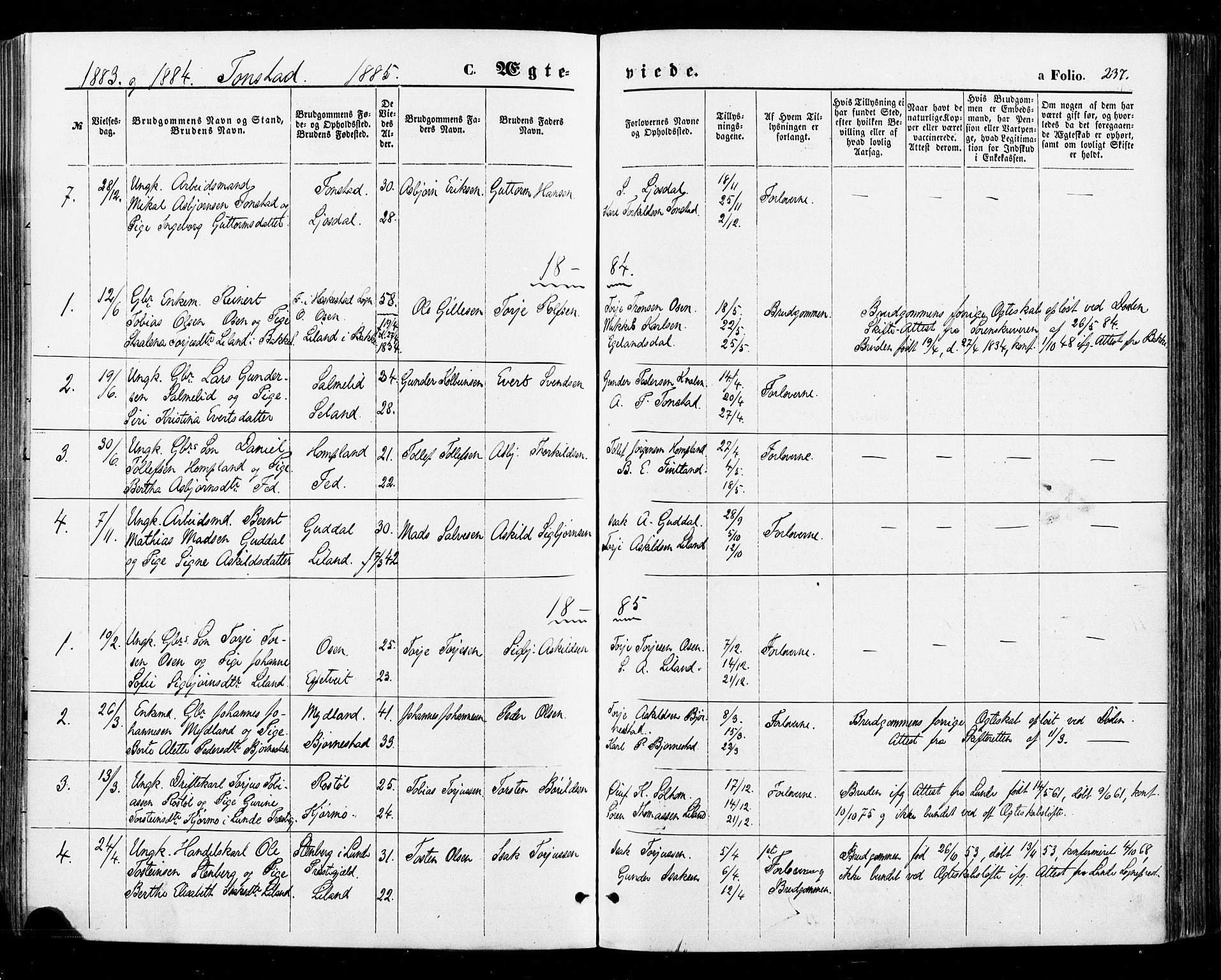 Sirdal sokneprestkontor, AV/SAK-1111-0036/F/Fa/Fab/L0003: Parish register (official) no. A 3, 1874-1886, p. 237