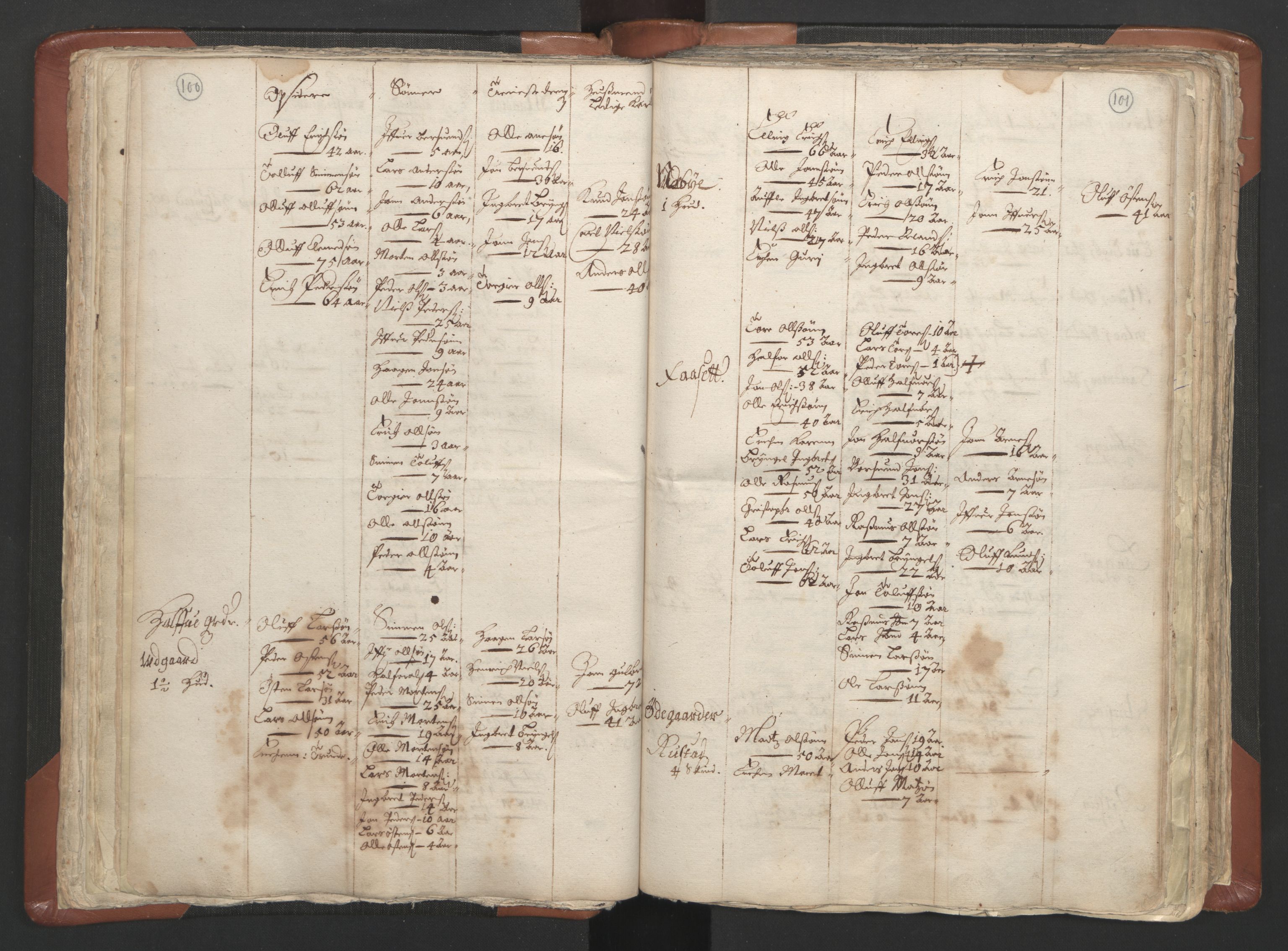RA, Vicar's Census 1664-1666, no. 5: Hedmark deanery, 1664-1666, p. 100-101