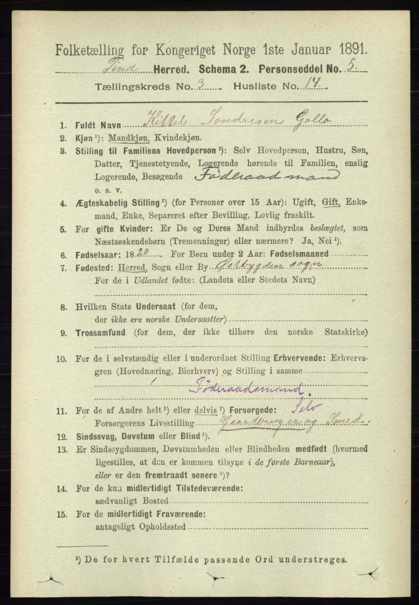 RA, 1891 census for 0826 Tinn, 1891, p. 579
