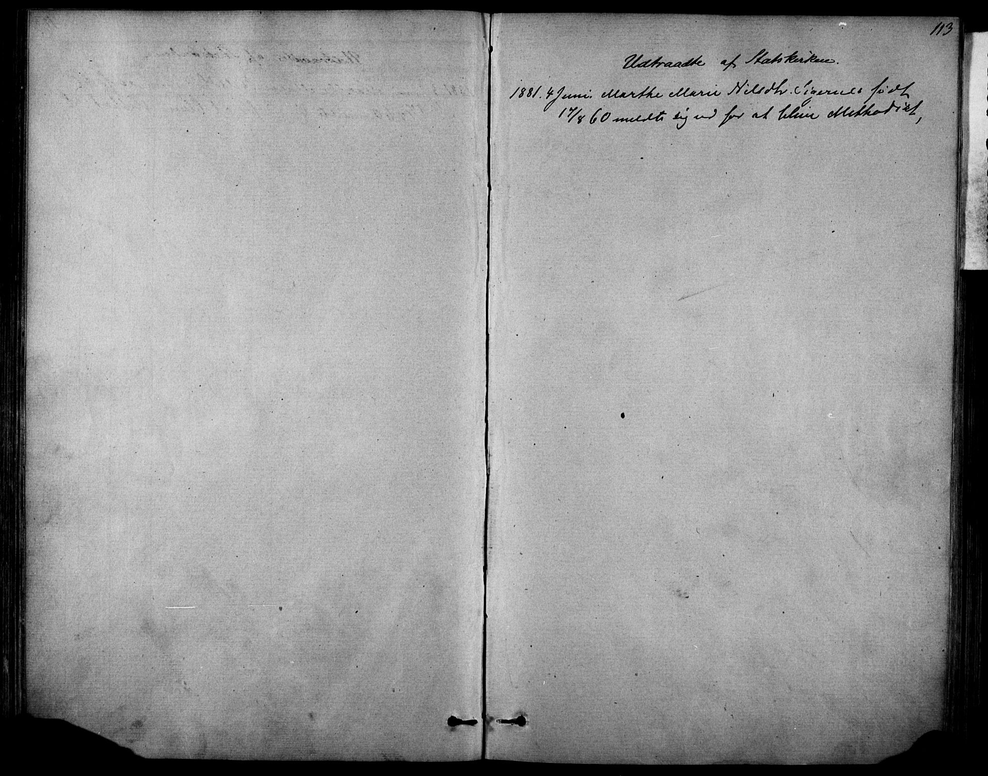 Sannidal kirkebøker, SAKO/A-296/F/Fa/L0014: Parish register (official) no. 14, 1874-1883, p. 113