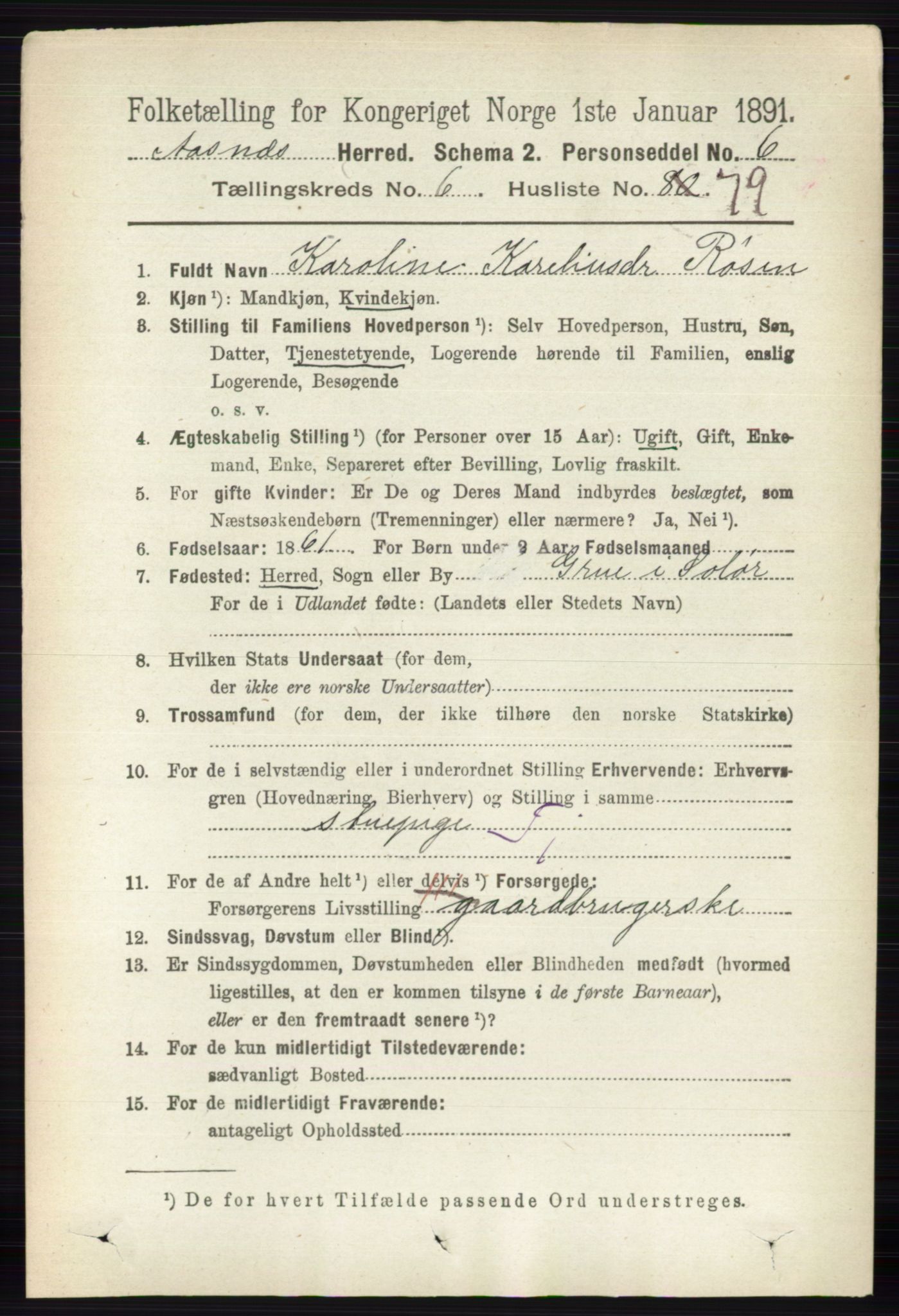 RA, 1891 census for 0425 Åsnes, 1891, p. 3223