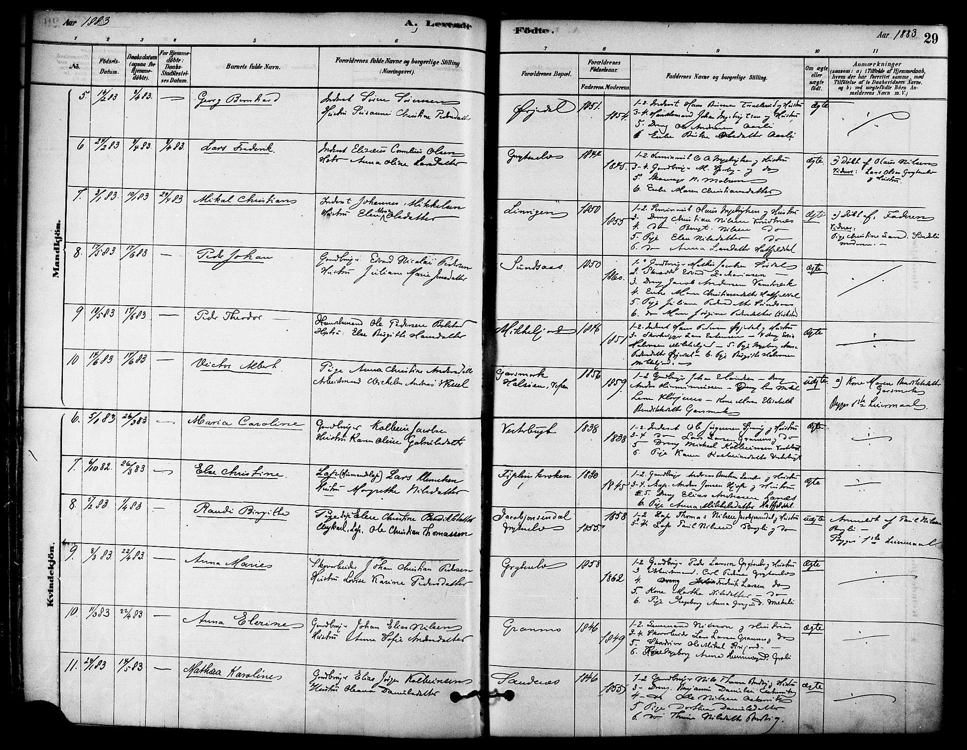 Ministerialprotokoller, klokkerbøker og fødselsregistre - Nordland, AV/SAT-A-1459/823/L0325: Parish register (official) no. 823A02, 1878-1898, p. 29