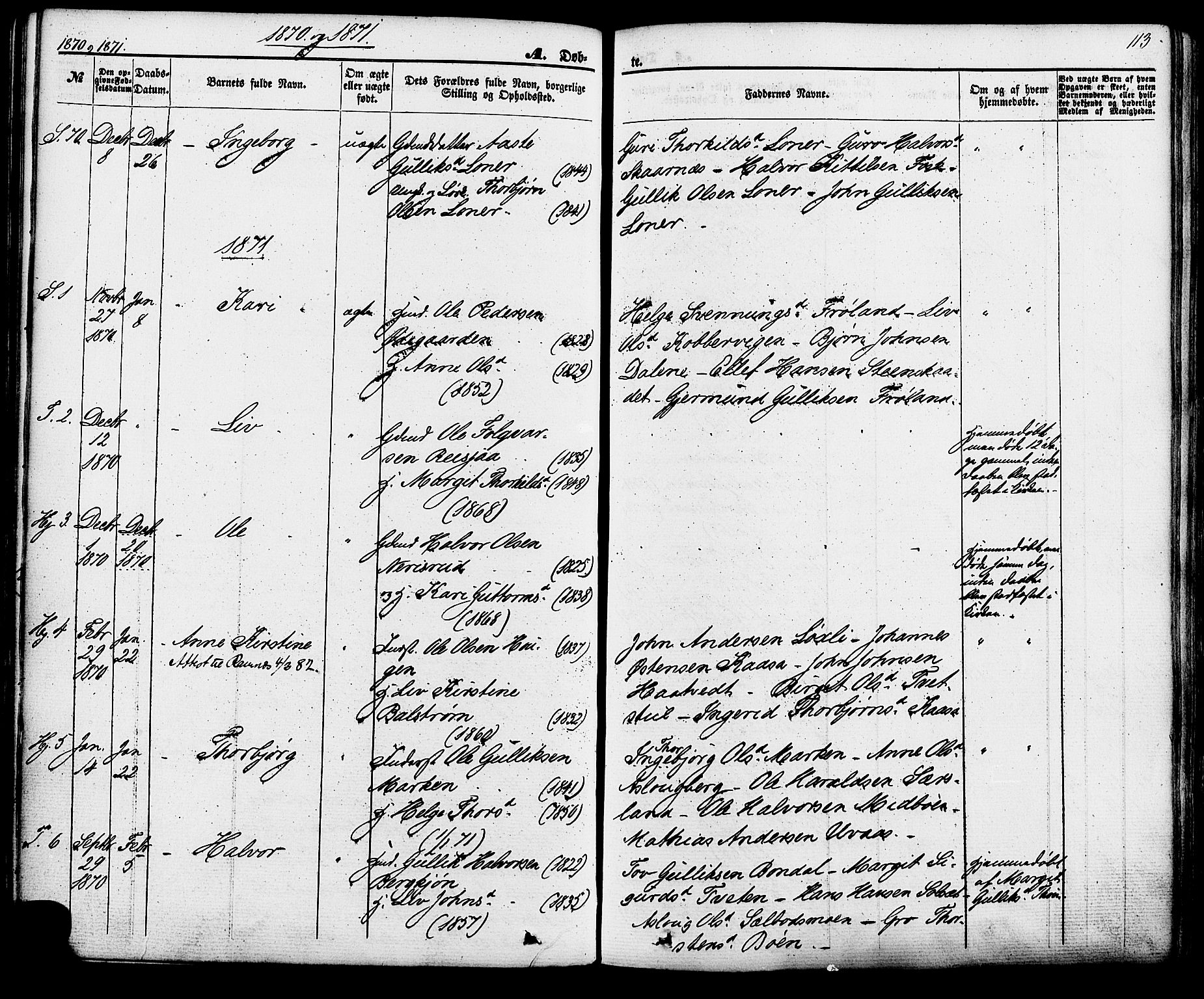 Hjartdal kirkebøker, AV/SAKO-A-270/F/Fa/L0009: Parish register (official) no. I 9, 1860-1879, p. 113