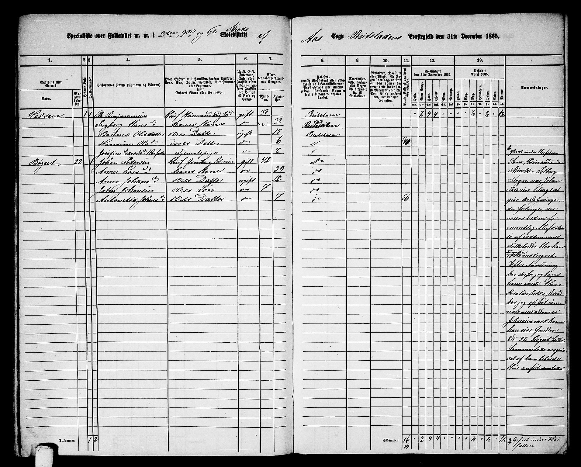 RA, 1865 census for Beitstad, 1865, p. 204