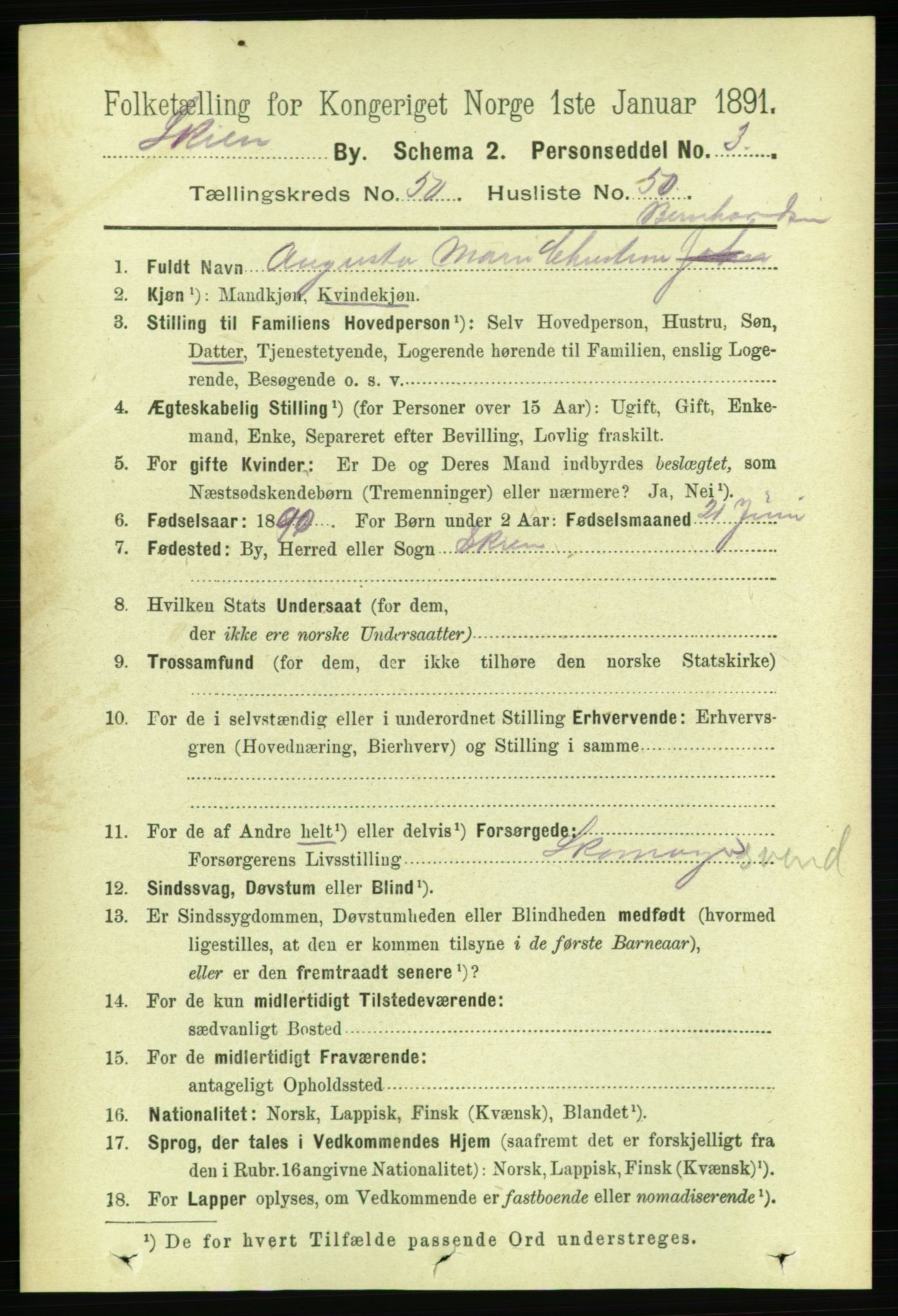 RA, 1891 census for 0806 Skien, 1891, p. 11236