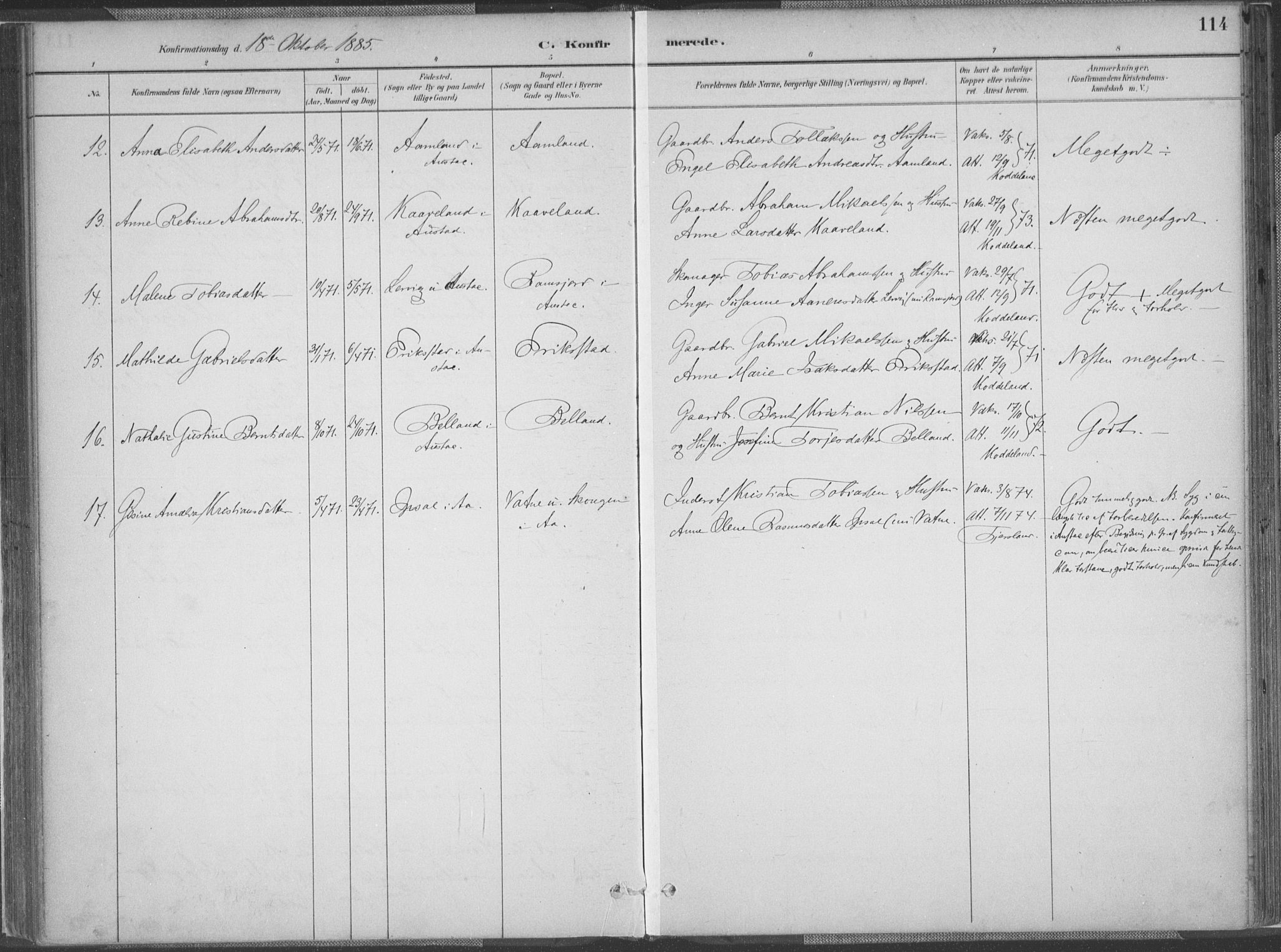 Lyngdal sokneprestkontor, AV/SAK-1111-0029/F/Fa/Faa/L0004: Parish register (official) no. A 4, 1883-1904, p. 114