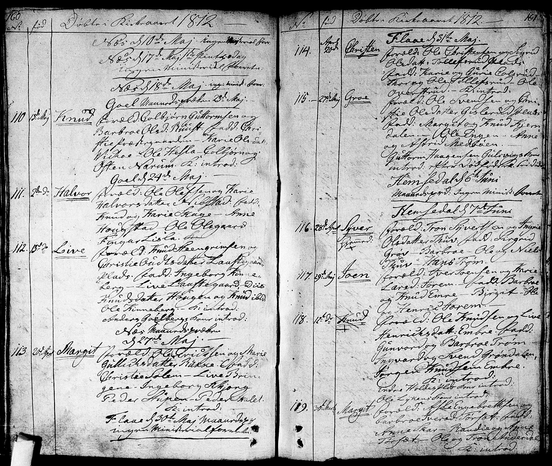 Nes kirkebøker, AV/SAKO-A-236/F/Fa/L0006: Parish register (official) no. 6, 1808-1814, p. 160-161