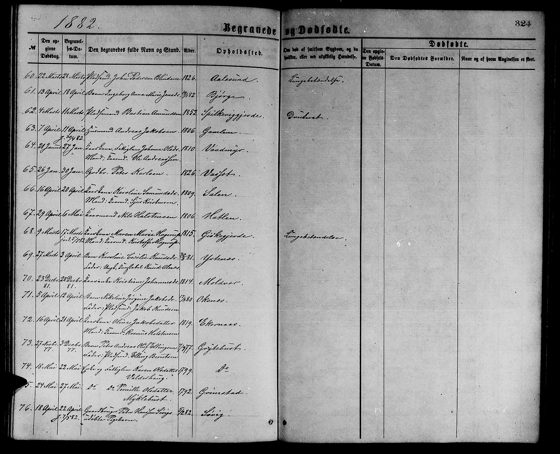 Ministerialprotokoller, klokkerbøker og fødselsregistre - Møre og Romsdal, AV/SAT-A-1454/528/L0429: Parish register (copy) no. 528C10, 1872-1886, p. 324