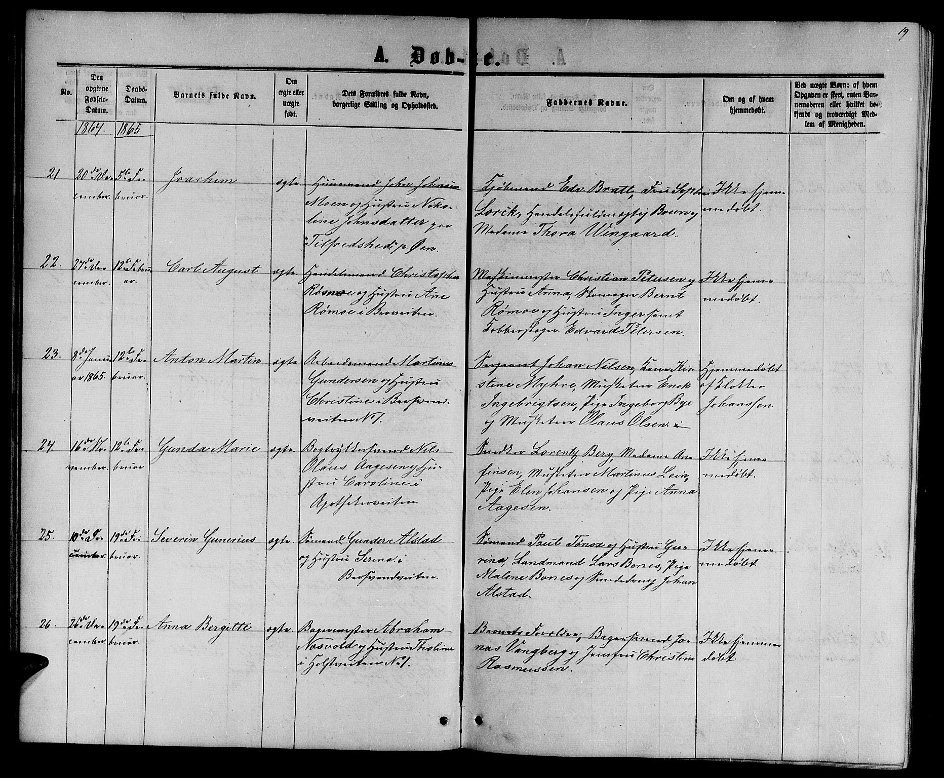 Ministerialprotokoller, klokkerbøker og fødselsregistre - Sør-Trøndelag, AV/SAT-A-1456/601/L0087: Parish register (copy) no. 601C05, 1864-1881, p. 19