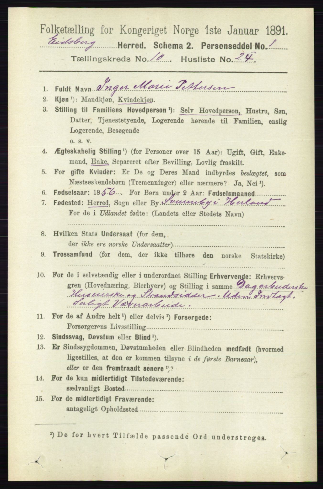 RA, 1891 census for 0125 Eidsberg, 1891, p. 5803