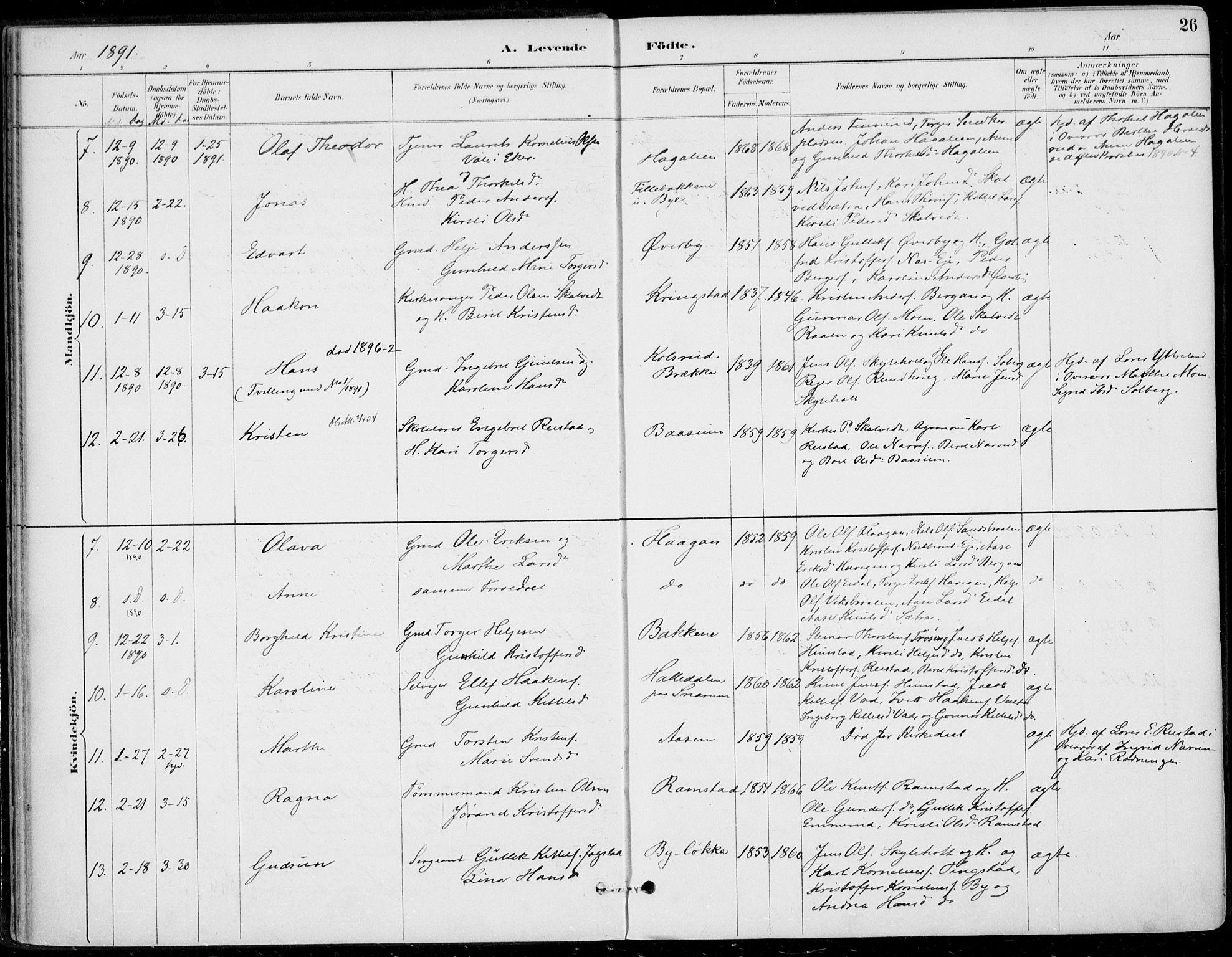 Sigdal kirkebøker, SAKO/A-245/F/Fb/L0001: Parish register (official) no. II 1, 1888-1900, p. 26