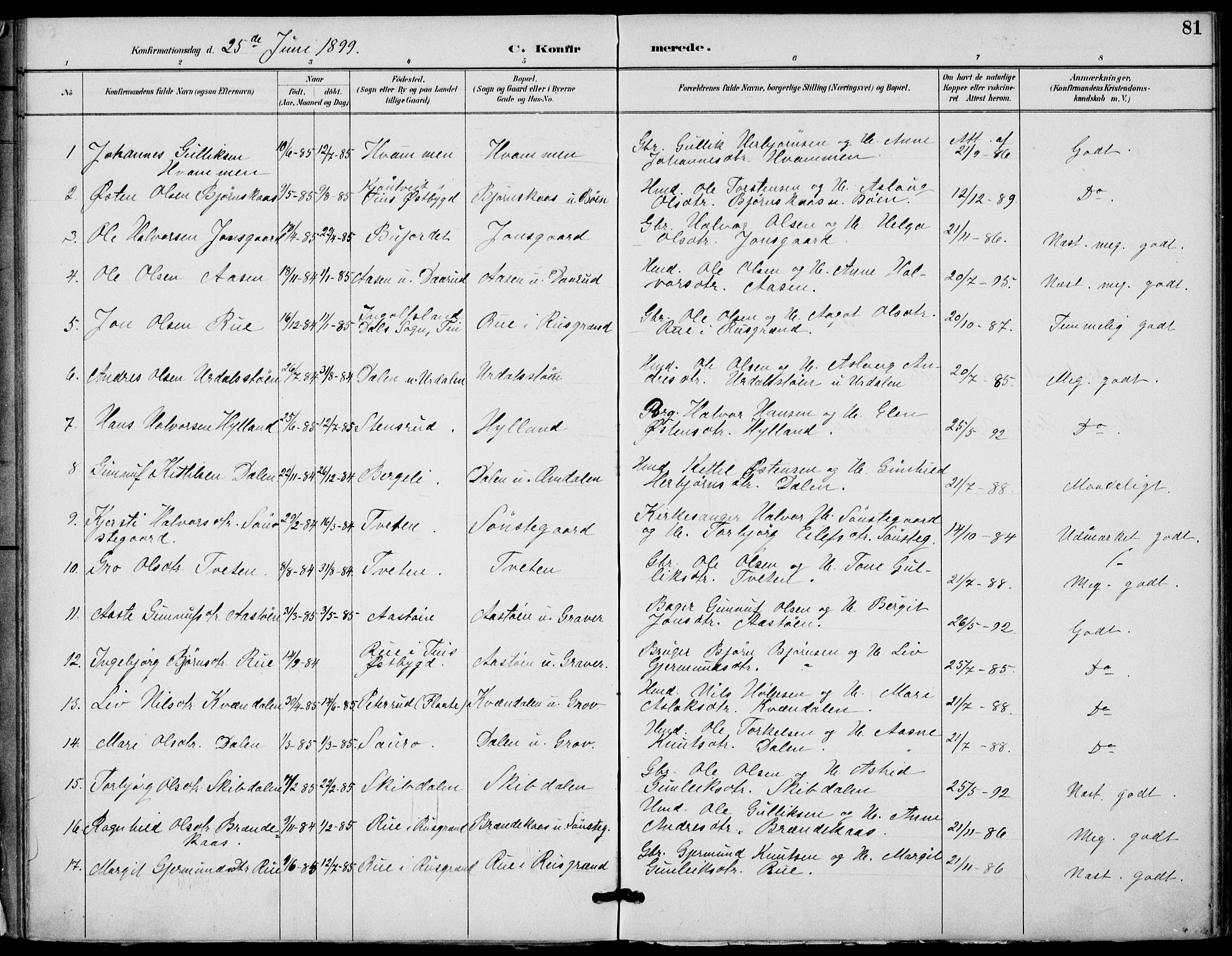 Gransherad kirkebøker, SAKO/A-267/F/Fb/L0005: Parish register (official) no. II 5, 1887-1916, p. 81