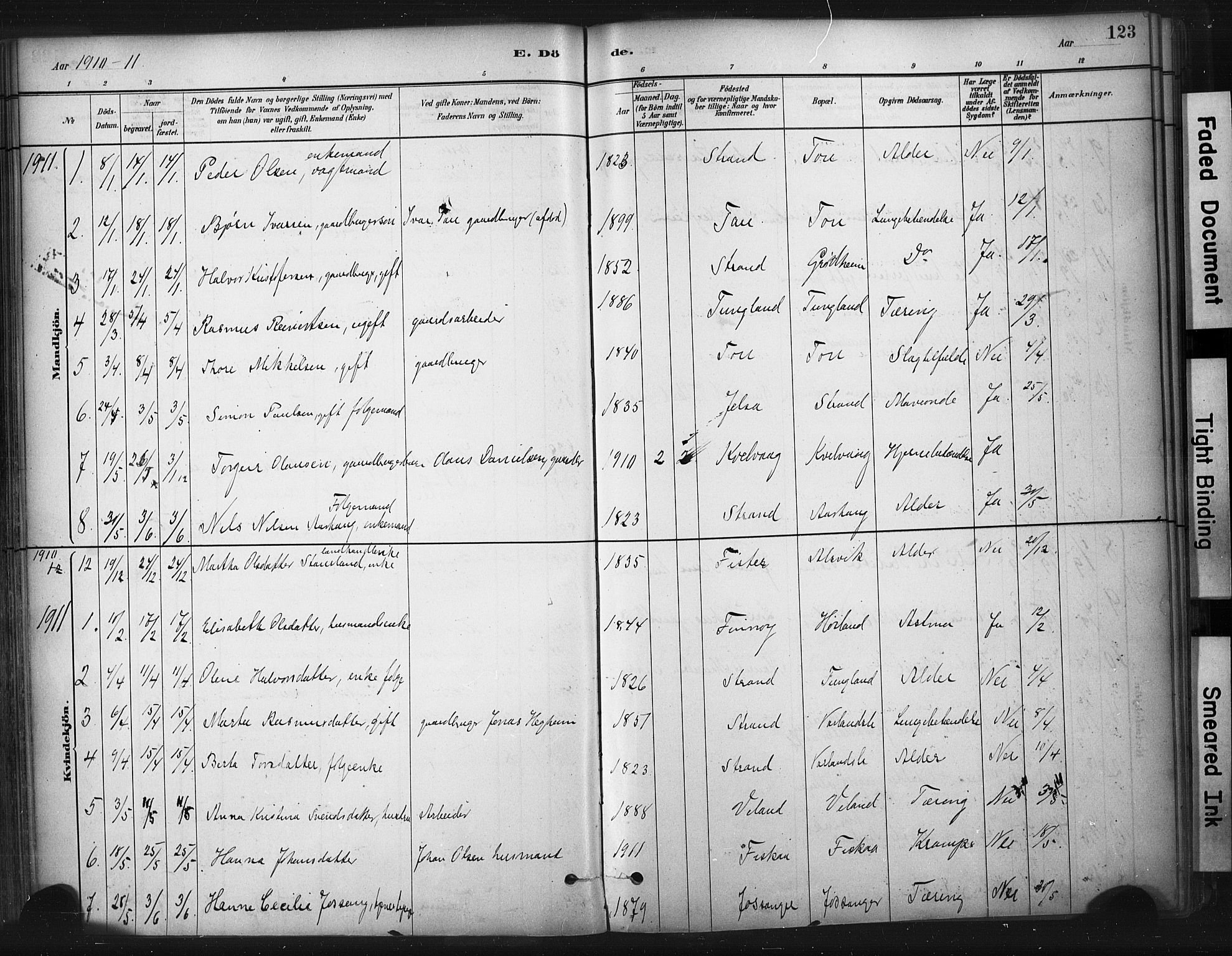 Strand sokneprestkontor, SAST/A-101828/H/Ha/Haa/L0010: Parish register (official) no. A 10, 1882-1929, p. 123