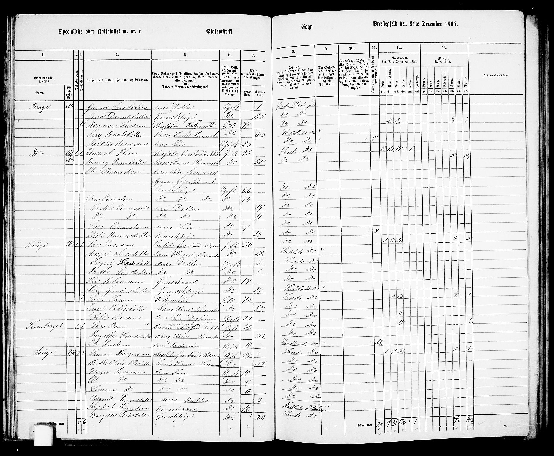 RA, 1865 census for Sand, 1865, p. 40