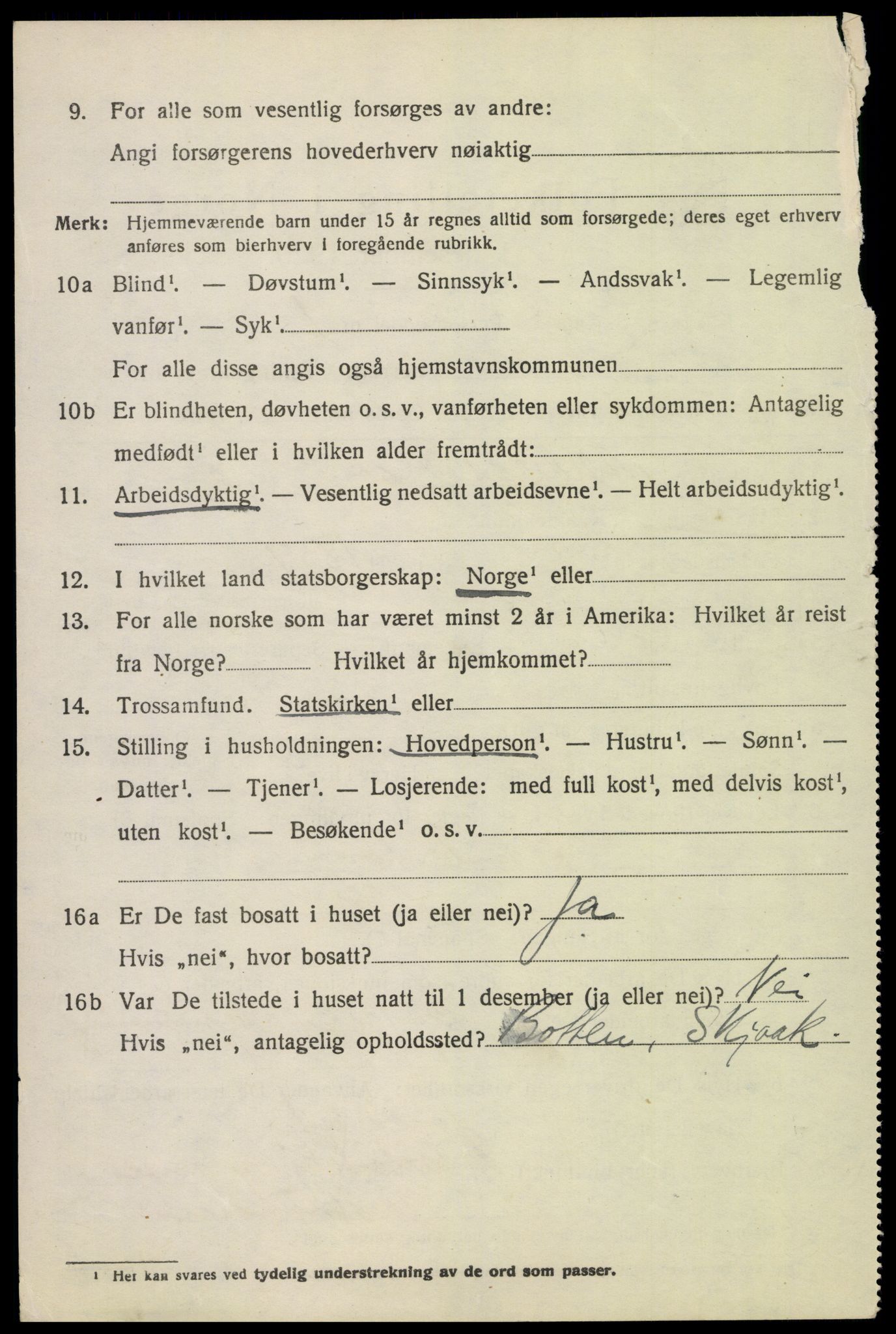 SAH, 1920 census for Skjåk, 1920, p. 4563