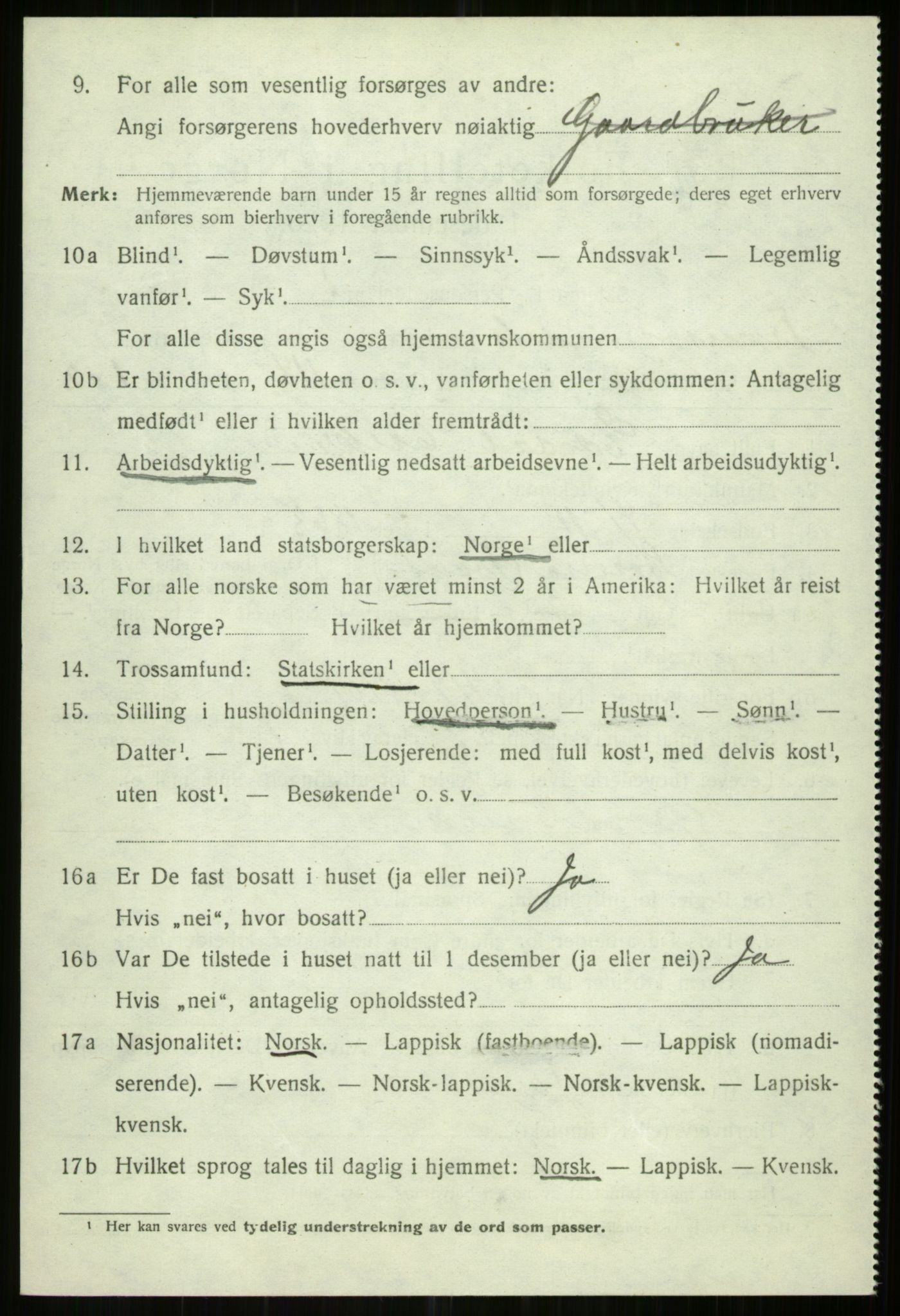 SATØ, 1920 census for Tromsøysund, 1920, p. 14243