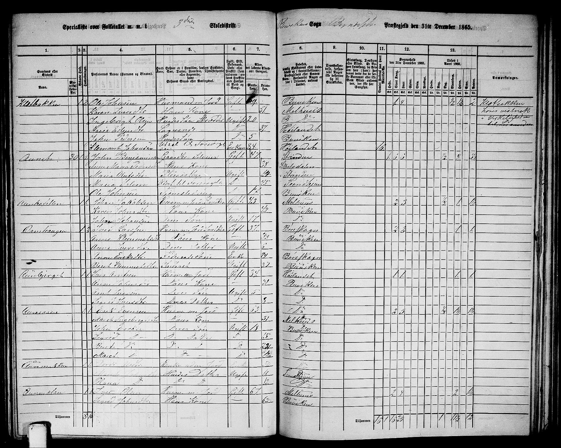 RA, 1865 census for Byneset, 1865, p. 37