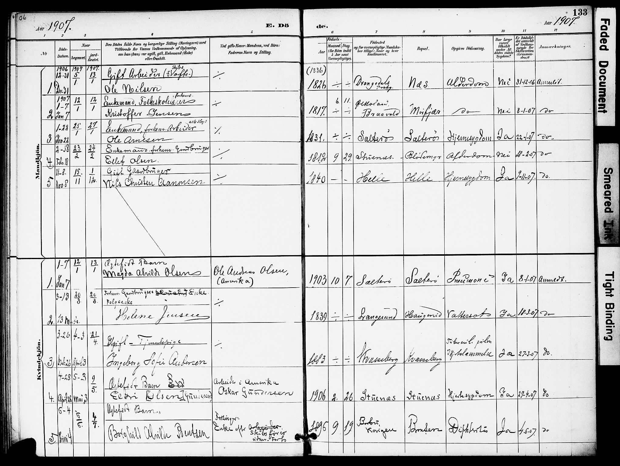 Austre Moland sokneprestkontor, AV/SAK-1111-0001/F/Fa/Fab/L0002: Parish register (official) no. A 2, 1894-1919, p. 133