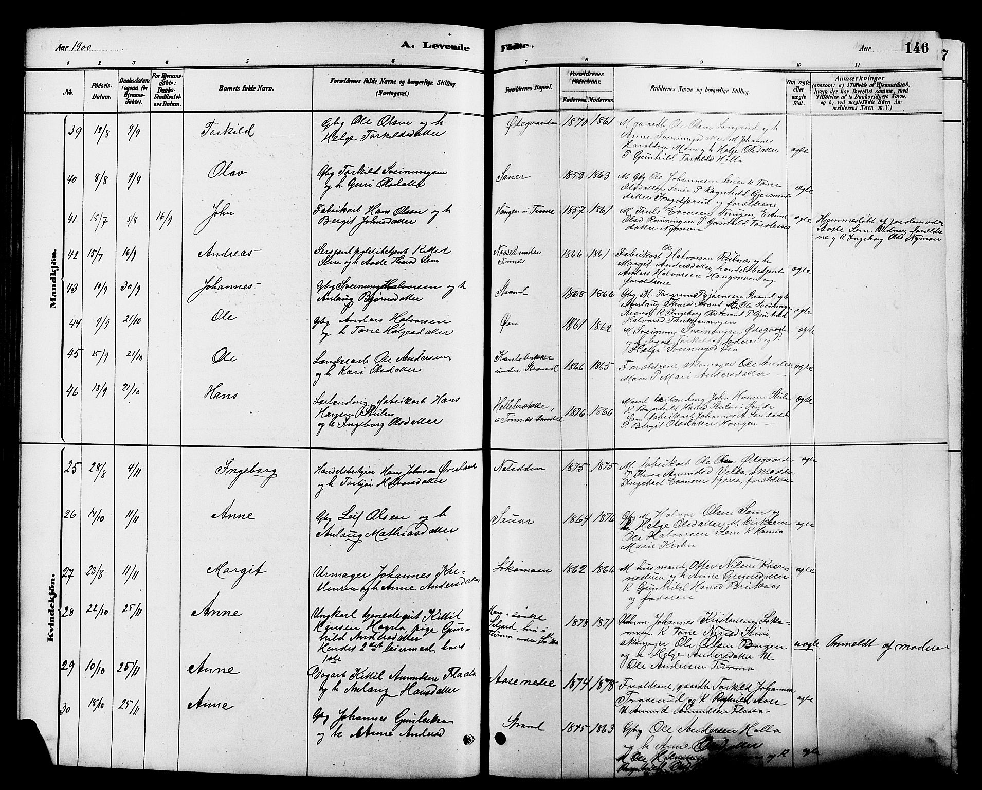 Heddal kirkebøker, AV/SAKO-A-268/G/Ga/L0002: Parish register (copy) no. I 2, 1879-1908, p. 146