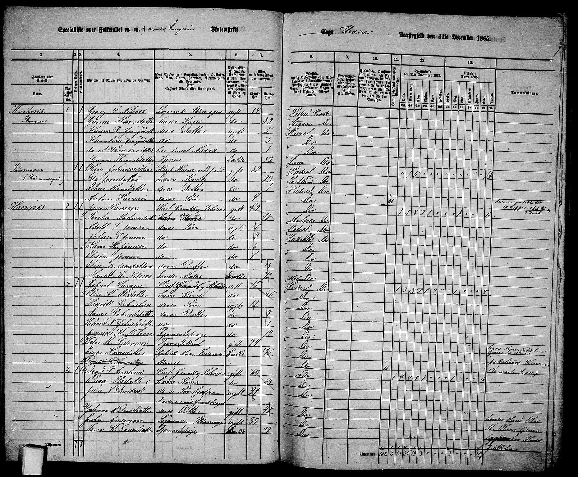 RA, 1865 census for Hadsel, 1865, p. 31