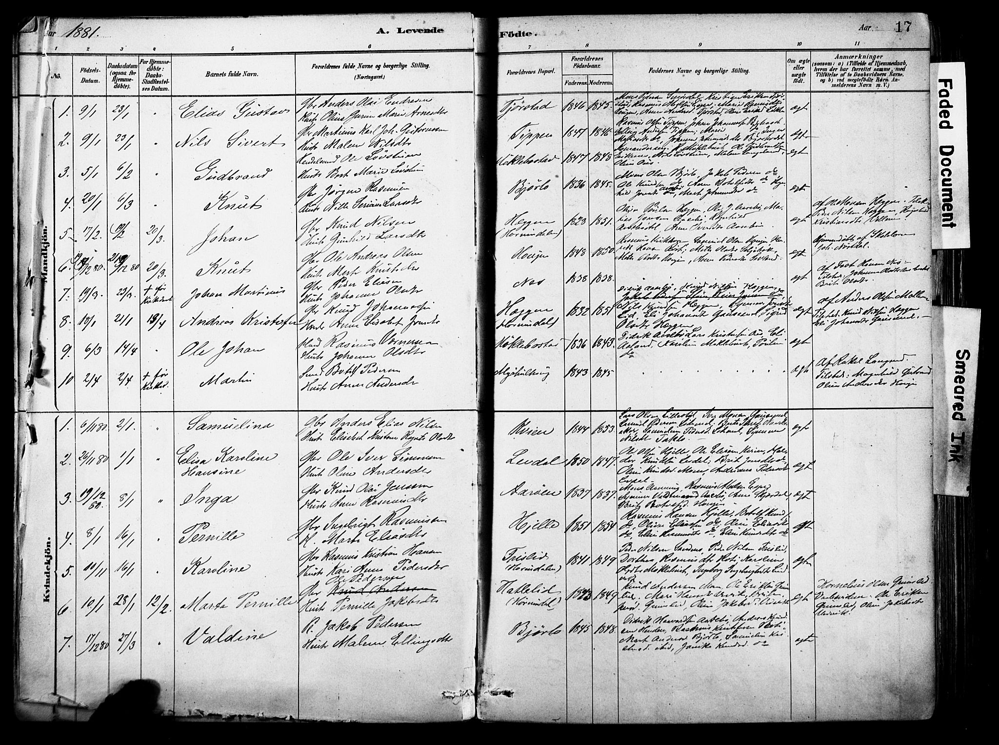 Eid sokneprestembete, AV/SAB-A-82301/H/Haa/Haab/L0001: Parish register (official) no. B 1, 1879-1906, p. 17