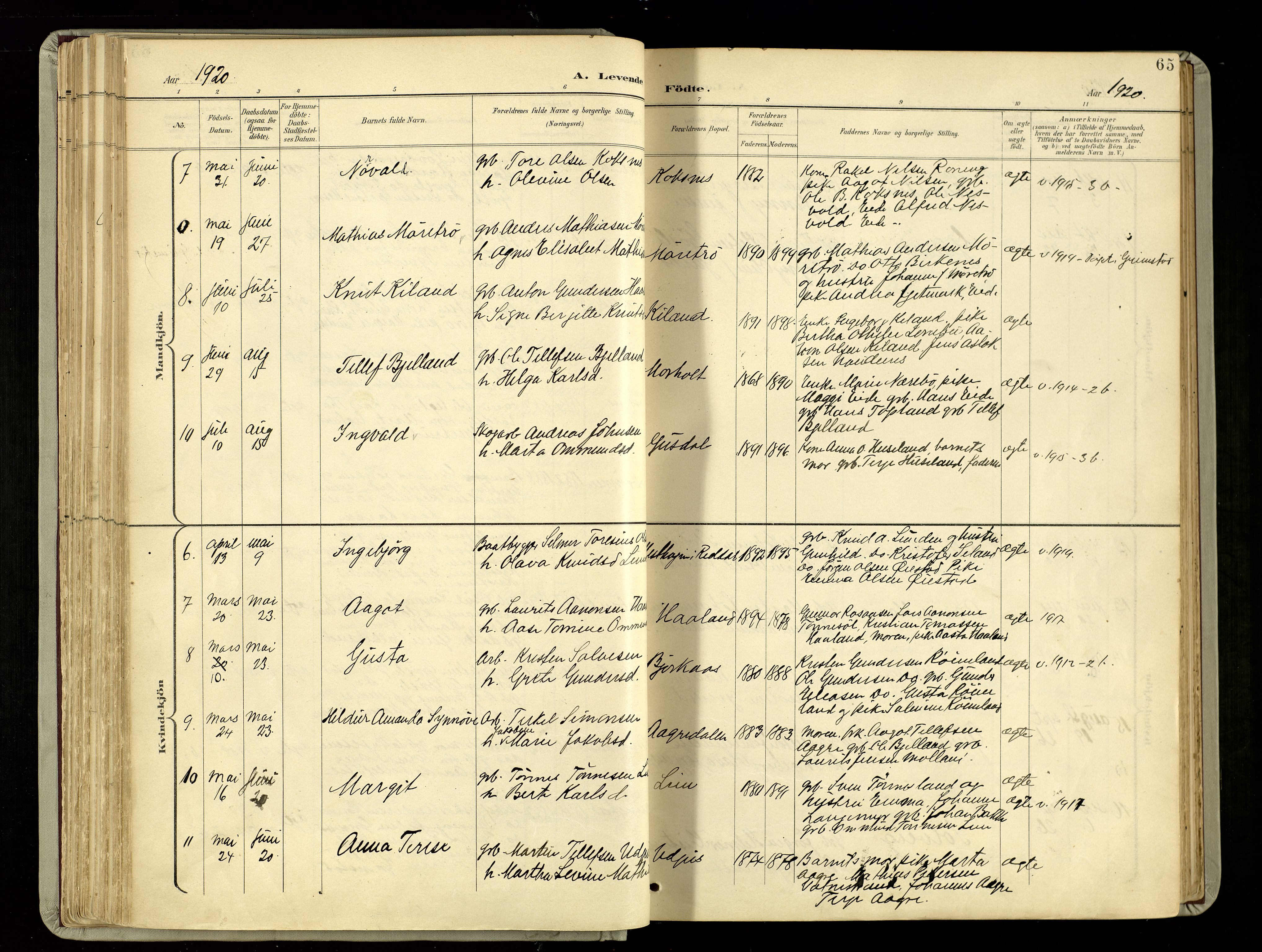 Hommedal sokneprestkontor, SAK/1111-0023/F/Fa/Fab/L0007: Parish register (official) no. A 7, 1898-1924, p. 65