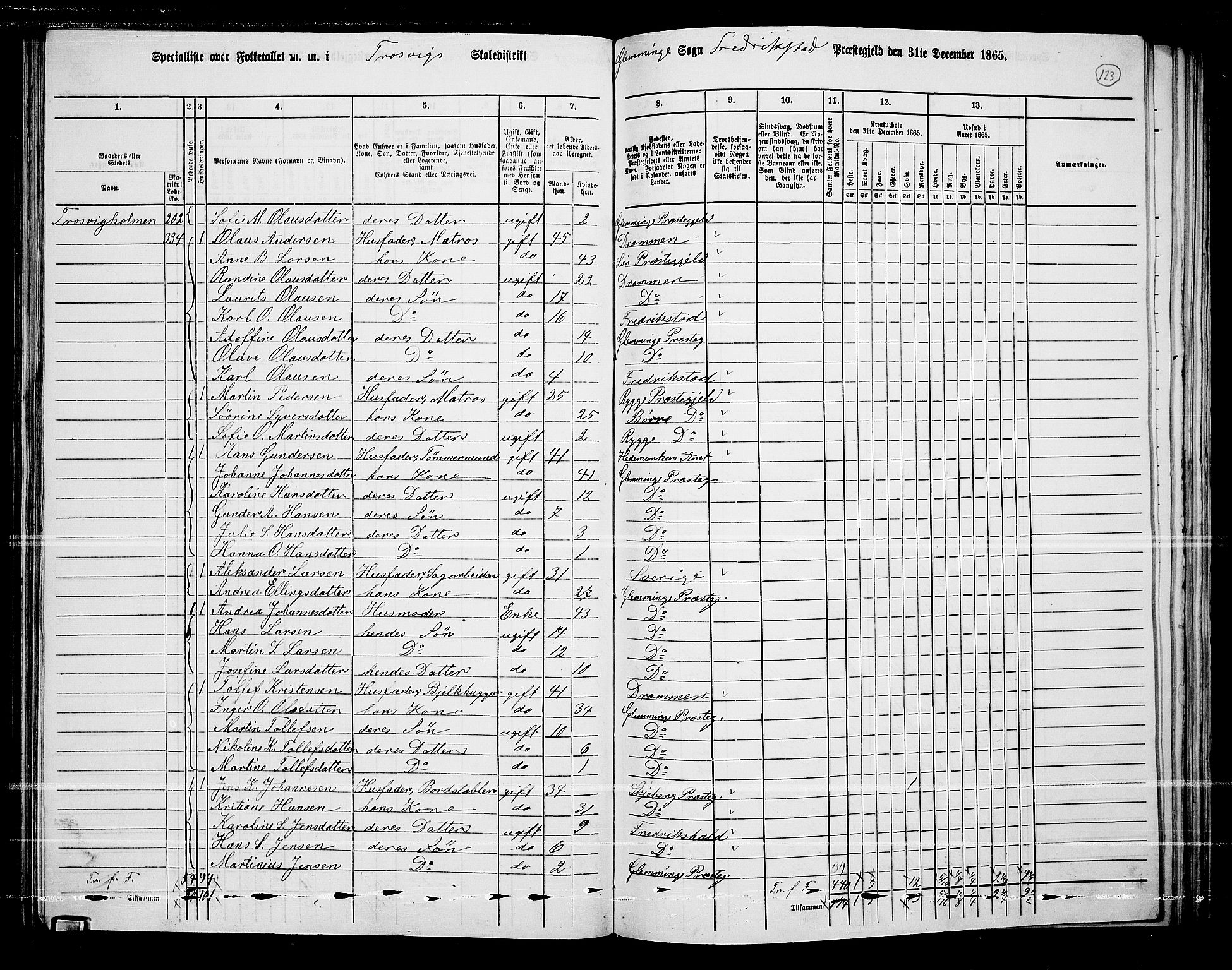 RA, 1865 census for Fredrikstad/Glemmen, 1865, p. 119