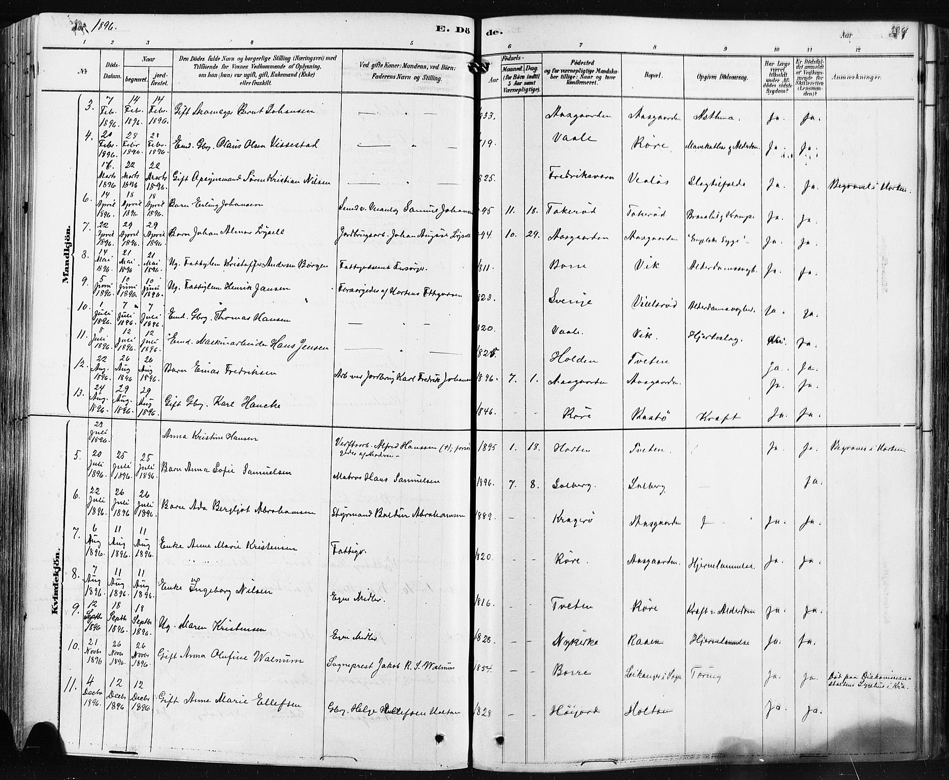 Borre kirkebøker, AV/SAKO-A-338/F/Fa/L0009: Parish register (official) no. I 9, 1878-1896, p. 224