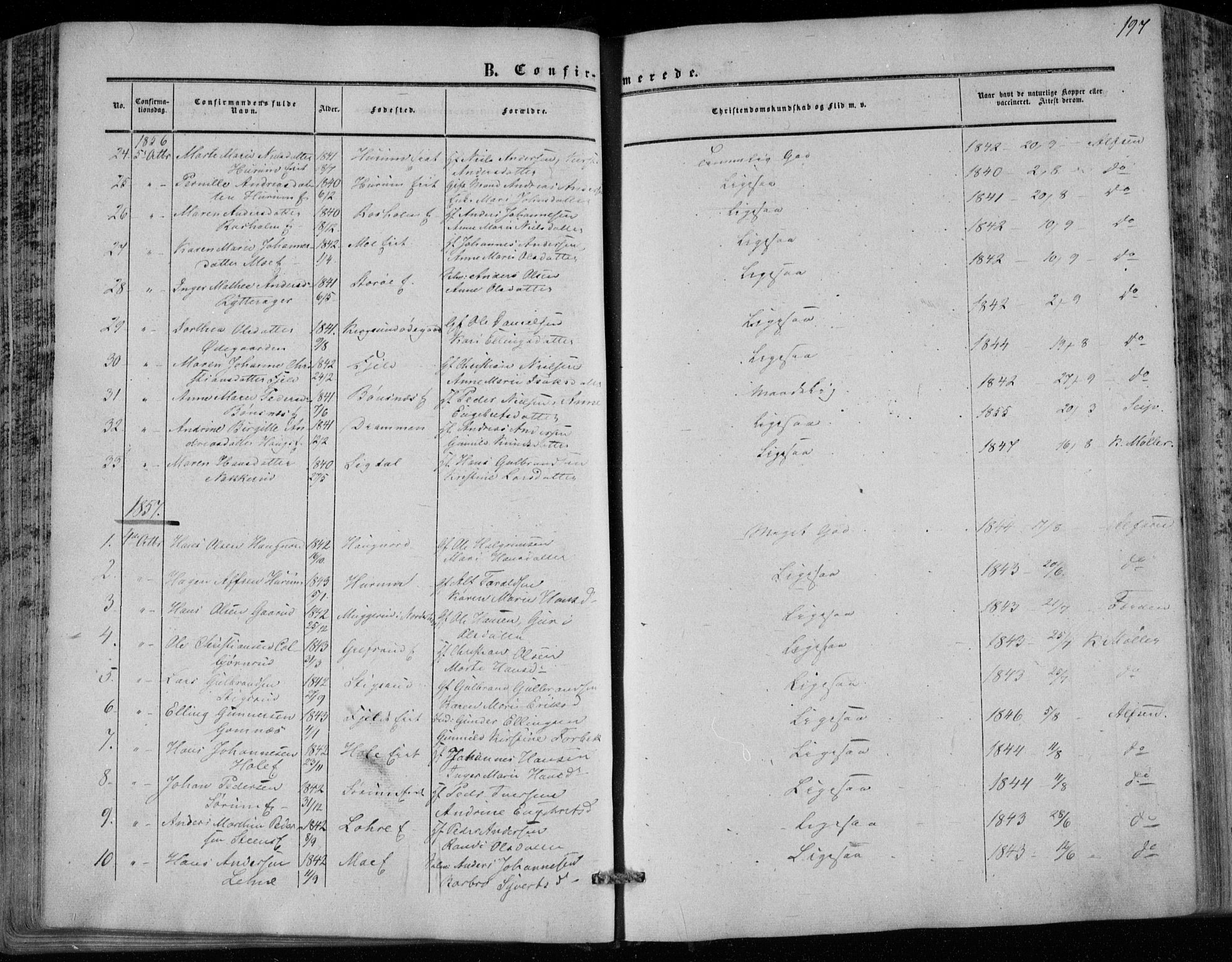 Hole kirkebøker, SAKO/A-228/F/Fa/L0006: Parish register (official) no. I 6, 1852-1872, p. 197