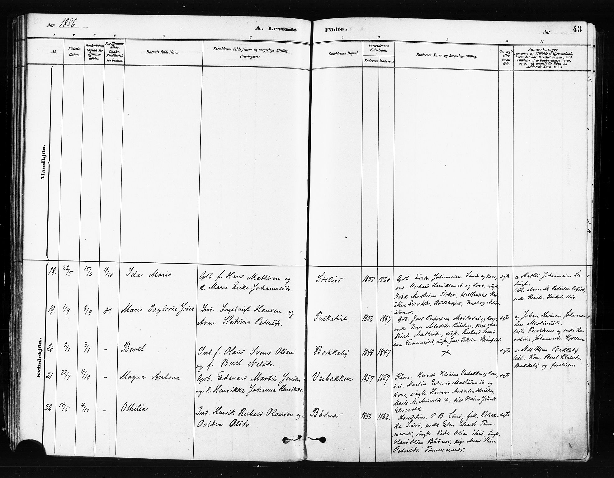 Skjervøy sokneprestkontor, AV/SATØ-S-1300/H/Ha/Haa/L0014kirke: Parish register (official) no. 14, 1878-1894, p. 43