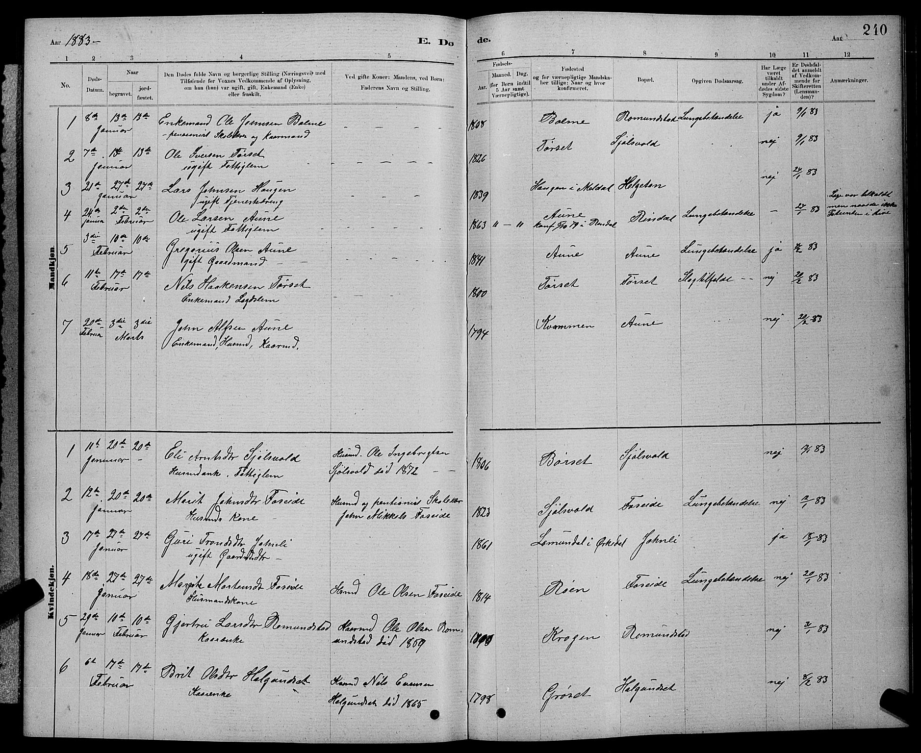 Ministerialprotokoller, klokkerbøker og fødselsregistre - Møre og Romsdal, AV/SAT-A-1454/598/L1077: Parish register (copy) no. 598C02, 1879-1891, p. 240