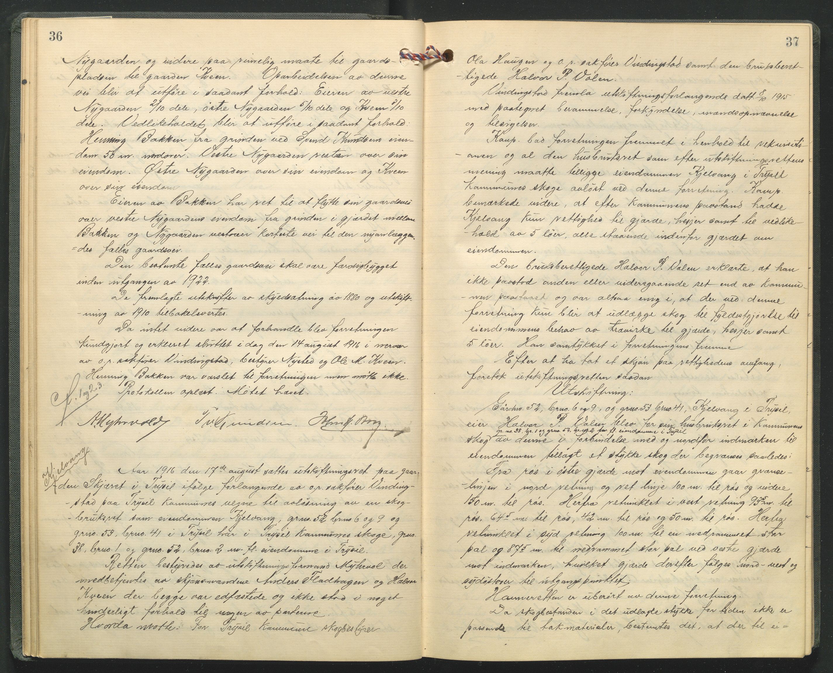 Hedmark og Østerdal jordskifterett, AV/SAH-JORDSKIFTEH-002/G/Ga/L0005/0001: Rettsbøker / Rettsbok - O, 1916-1921, p. 36-37