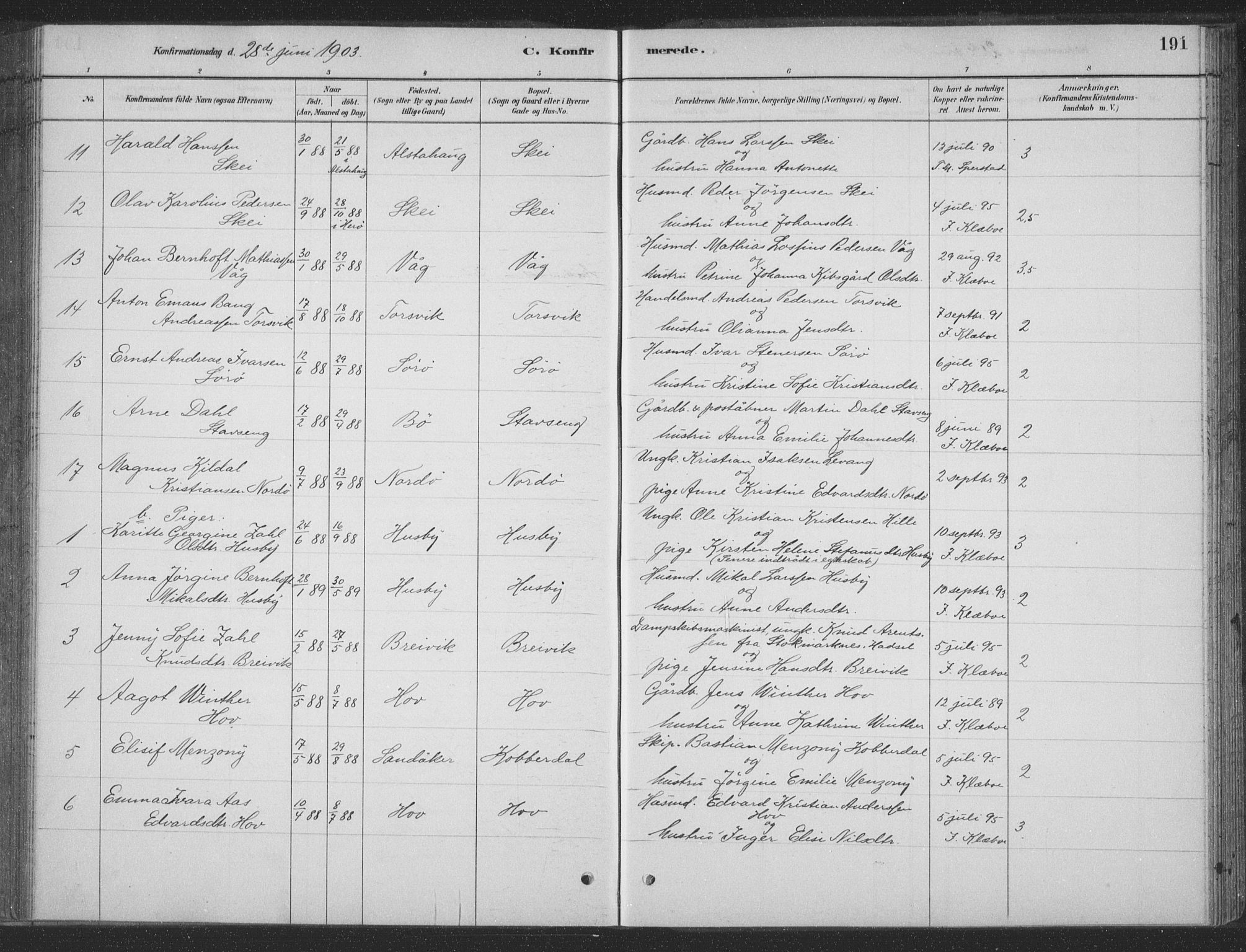 Ministerialprotokoller, klokkerbøker og fødselsregistre - Nordland, AV/SAT-A-1459/835/L0532: Parish register (copy) no. 835C04, 1880-1905, p. 191