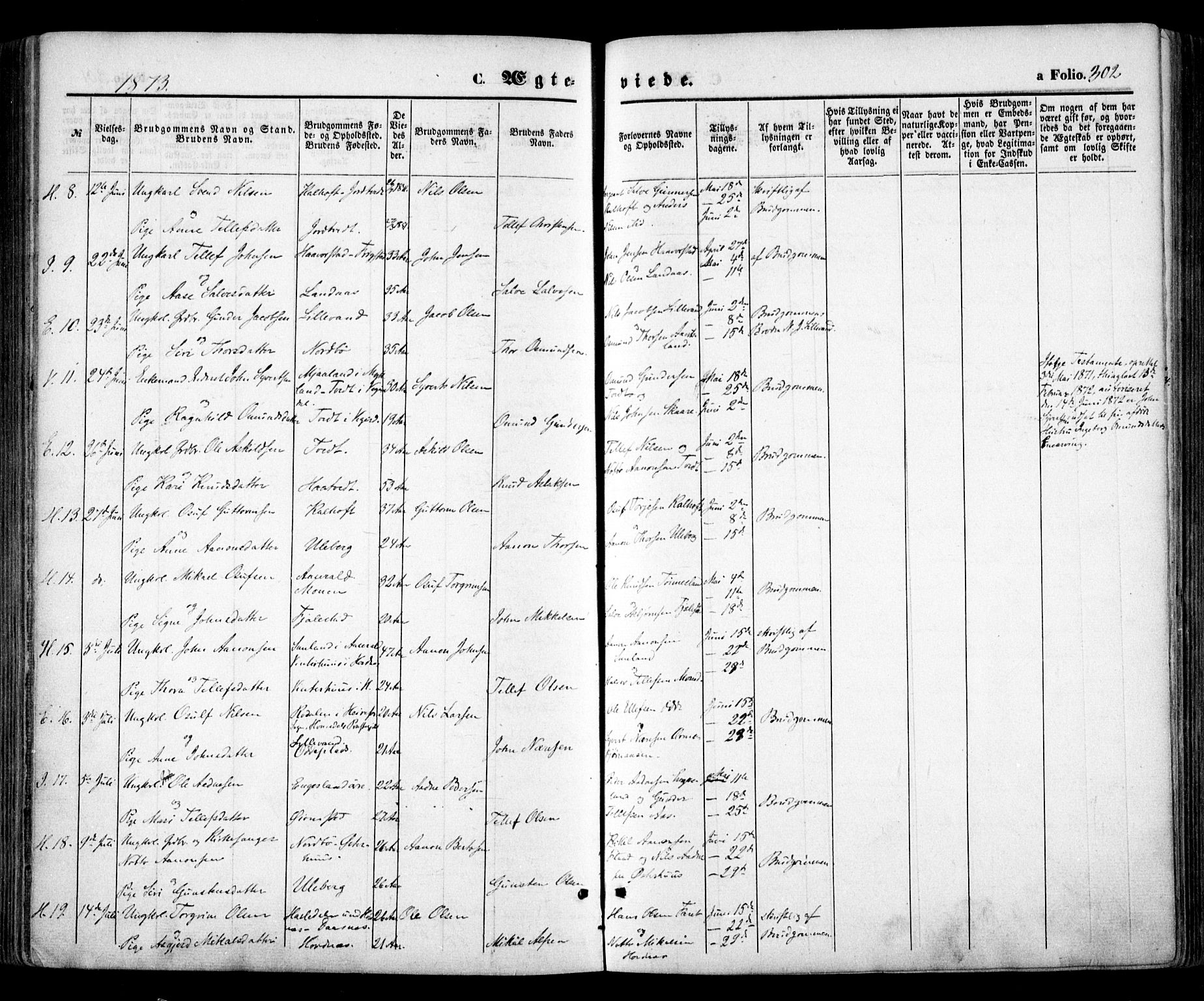 Evje sokneprestkontor, SAK/1111-0008/F/Fa/Faa/L0006: Parish register (official) no. A 6, 1866-1884, p. 302