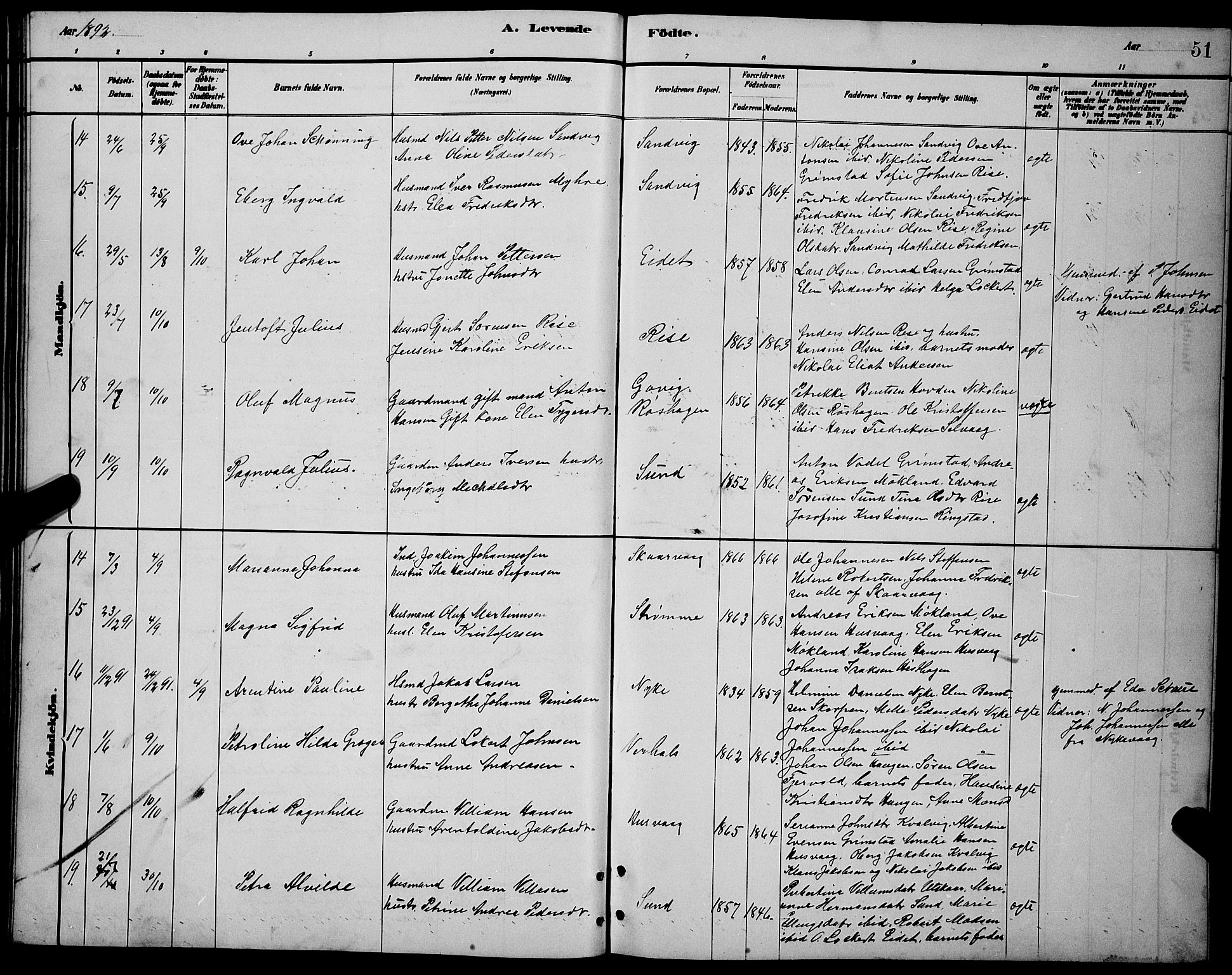 Ministerialprotokoller, klokkerbøker og fødselsregistre - Nordland, AV/SAT-A-1459/892/L1325: Parish register (copy) no. 892C02, 1878-1896, p. 51