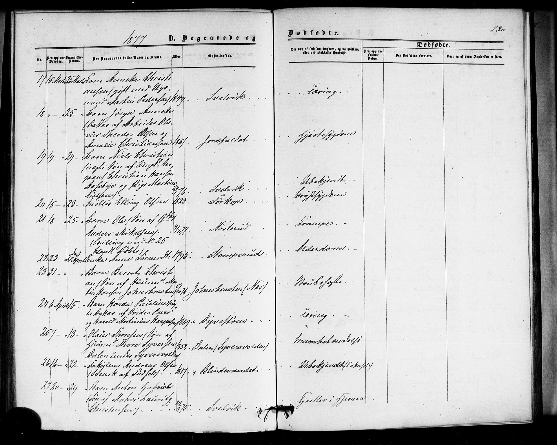 Strømm kirkebøker, SAKO/A-322/F/Fa/L0002: Parish register (official) no. I 2, 1870-1877, p. 230