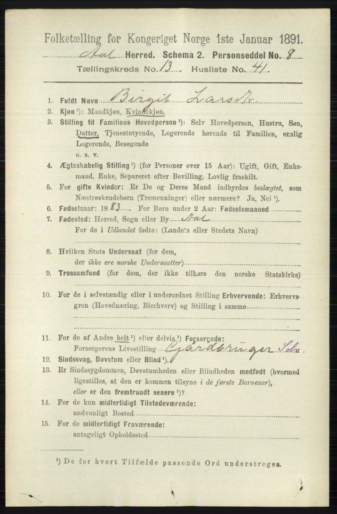 RA, 1891 census for 0619 Ål, 1891, p. 3489