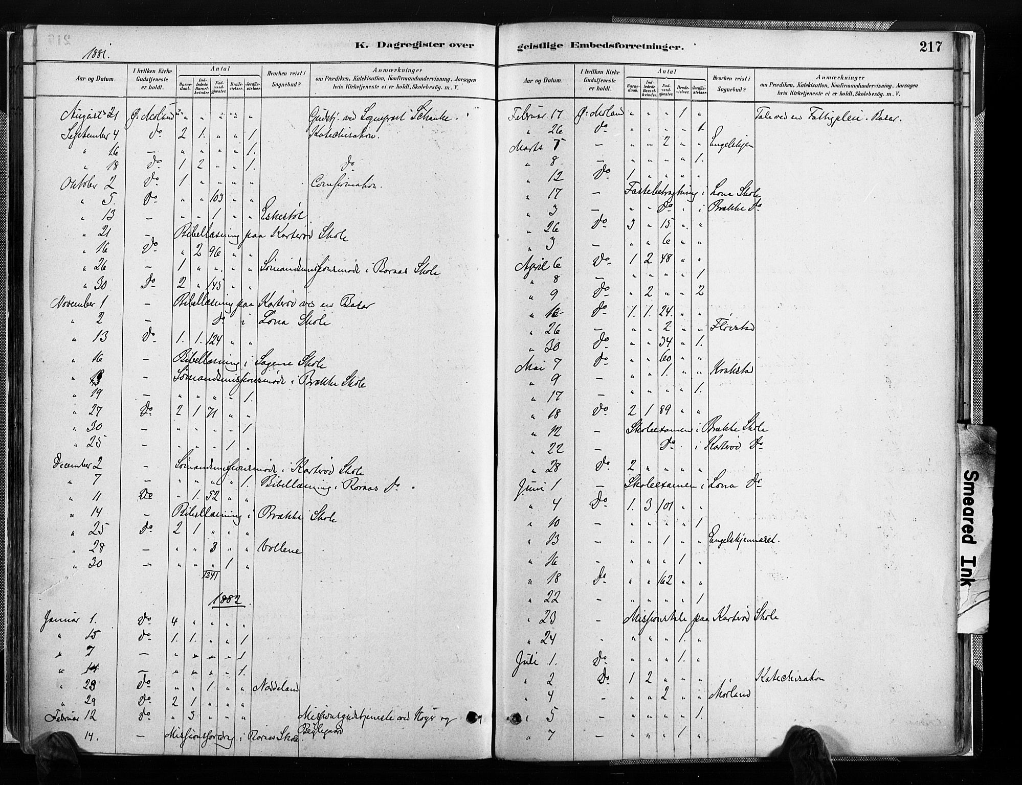 Austre Moland sokneprestkontor, AV/SAK-1111-0001/F/Fa/Faa/L0010: Parish register (official) no. A 10, 1880-1904, p. 217