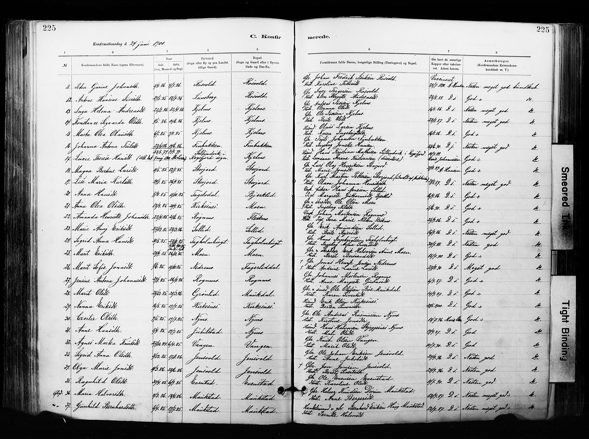 Målselv sokneprestembete, SATØ/S-1311/G/Ga/Gaa/L0007kirke: Parish register (official) no. 7, 1884-1903, p. 225