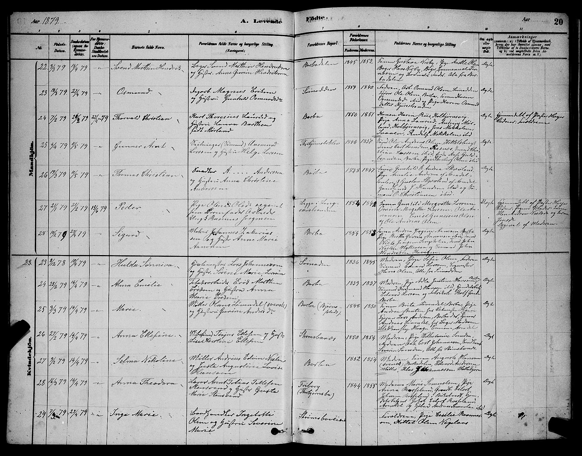 Barbu sokneprestkontor, AV/SAK-1111-0003/F/Fb/L0001: Parish register (copy) no. B 1, 1878-1890, p. 20