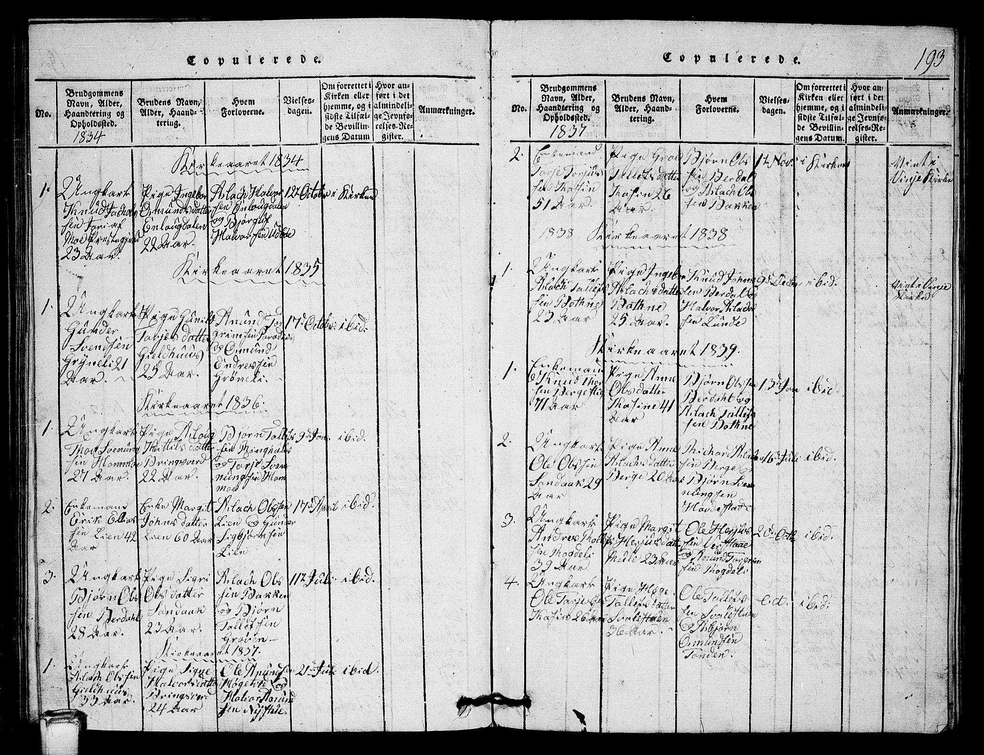 Vinje kirkebøker, AV/SAKO-A-312/G/Gb/L0001: Parish register (copy) no. II 1, 1814-1843, p. 193