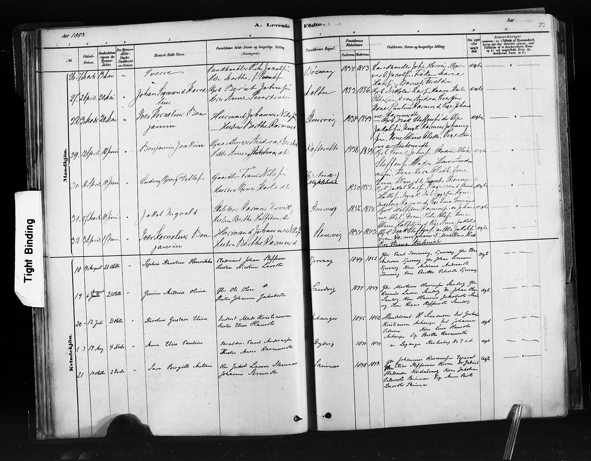 Ministerialprotokoller, klokkerbøker og fødselsregistre - Møre og Romsdal, AV/SAT-A-1454/507/L0073: Parish register (official) no. 507A08, 1878-1904, p. 33
